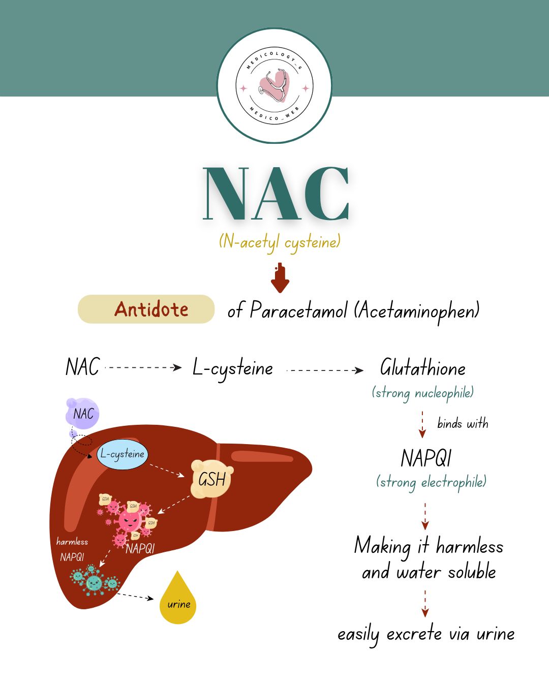 Can NAC or acetylcysteine help with acute liver failure?