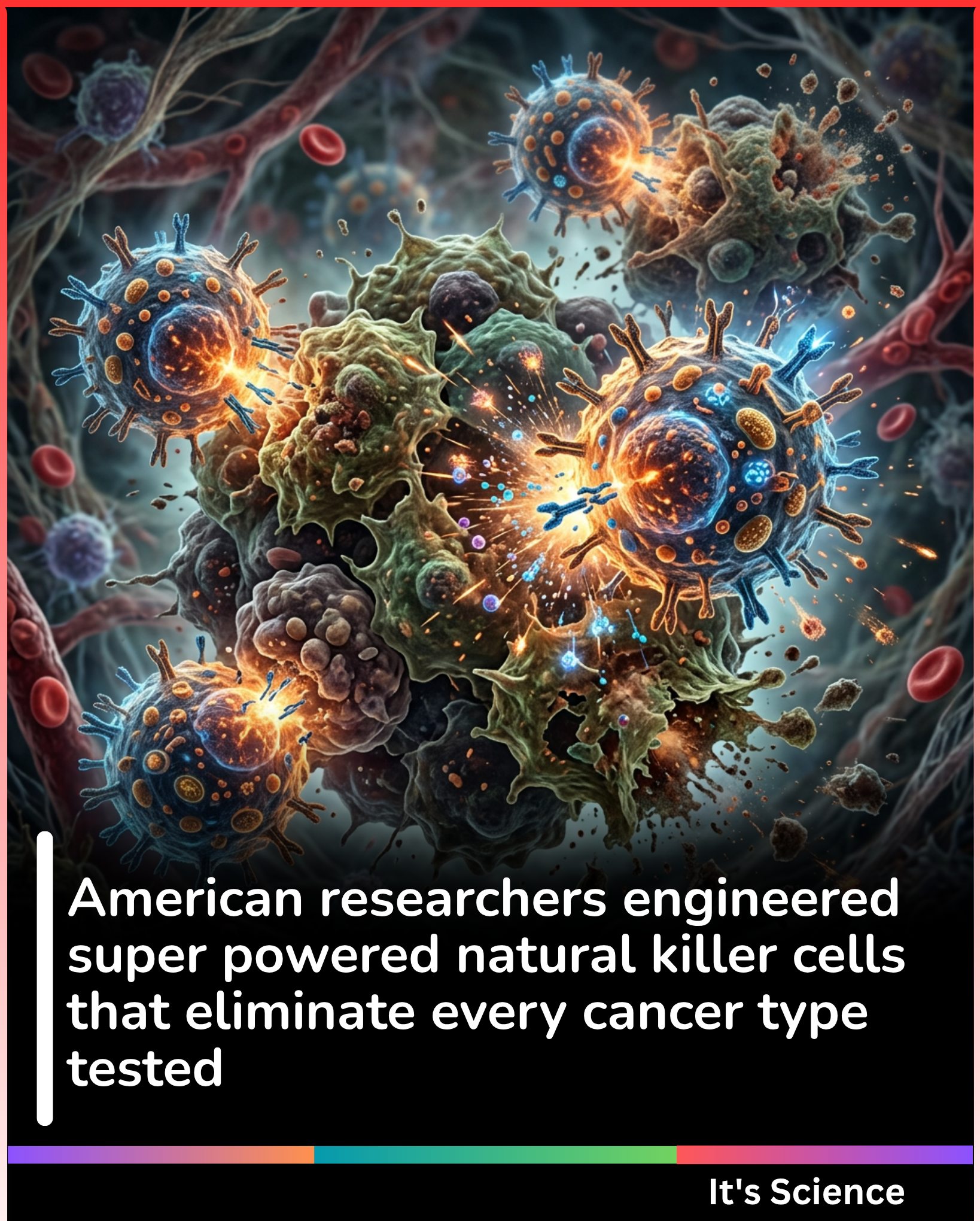 ジョセフ Natural killer cells are the immune system's unconditional