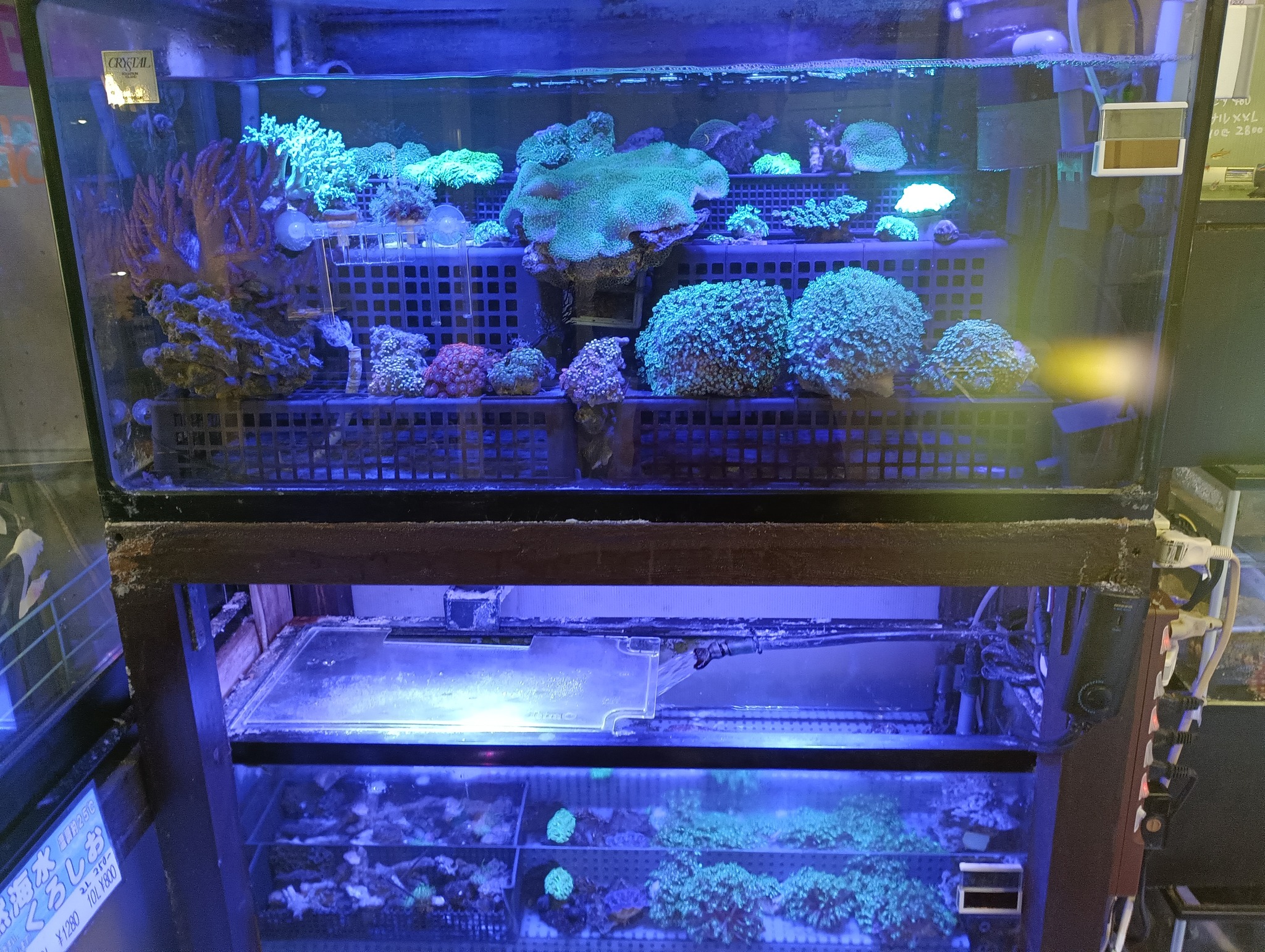 1200水槽 セット Yos】アクリル水槽1200 水槽セット Yahoo!オークション