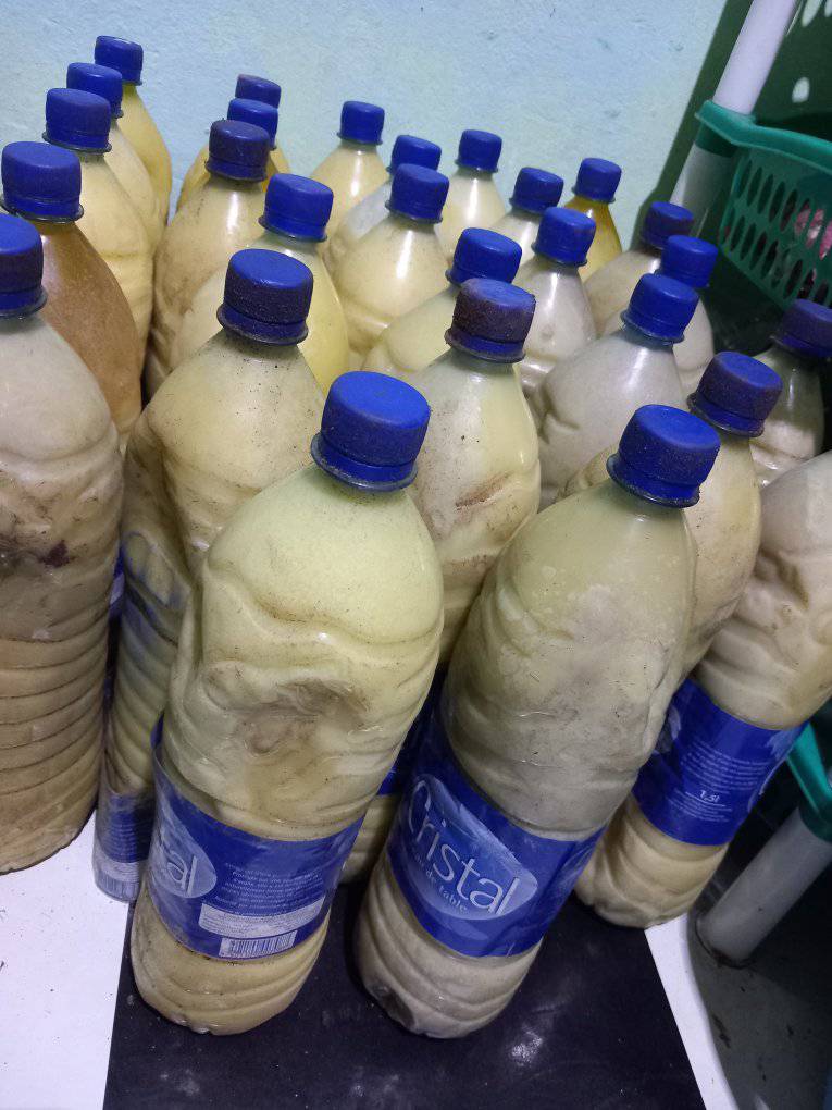 Beurre De Karité Biologique Pur - Origine Tchad - Pour Hydratation Peau & Cheveux - Neuf