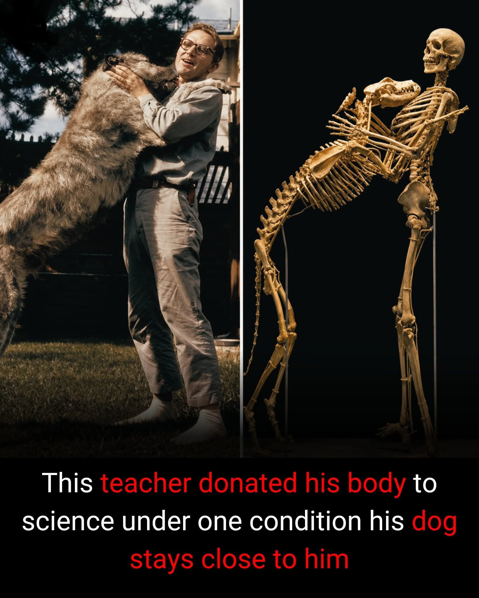 Grover Krantz, Bigfoot expert and WSU professor