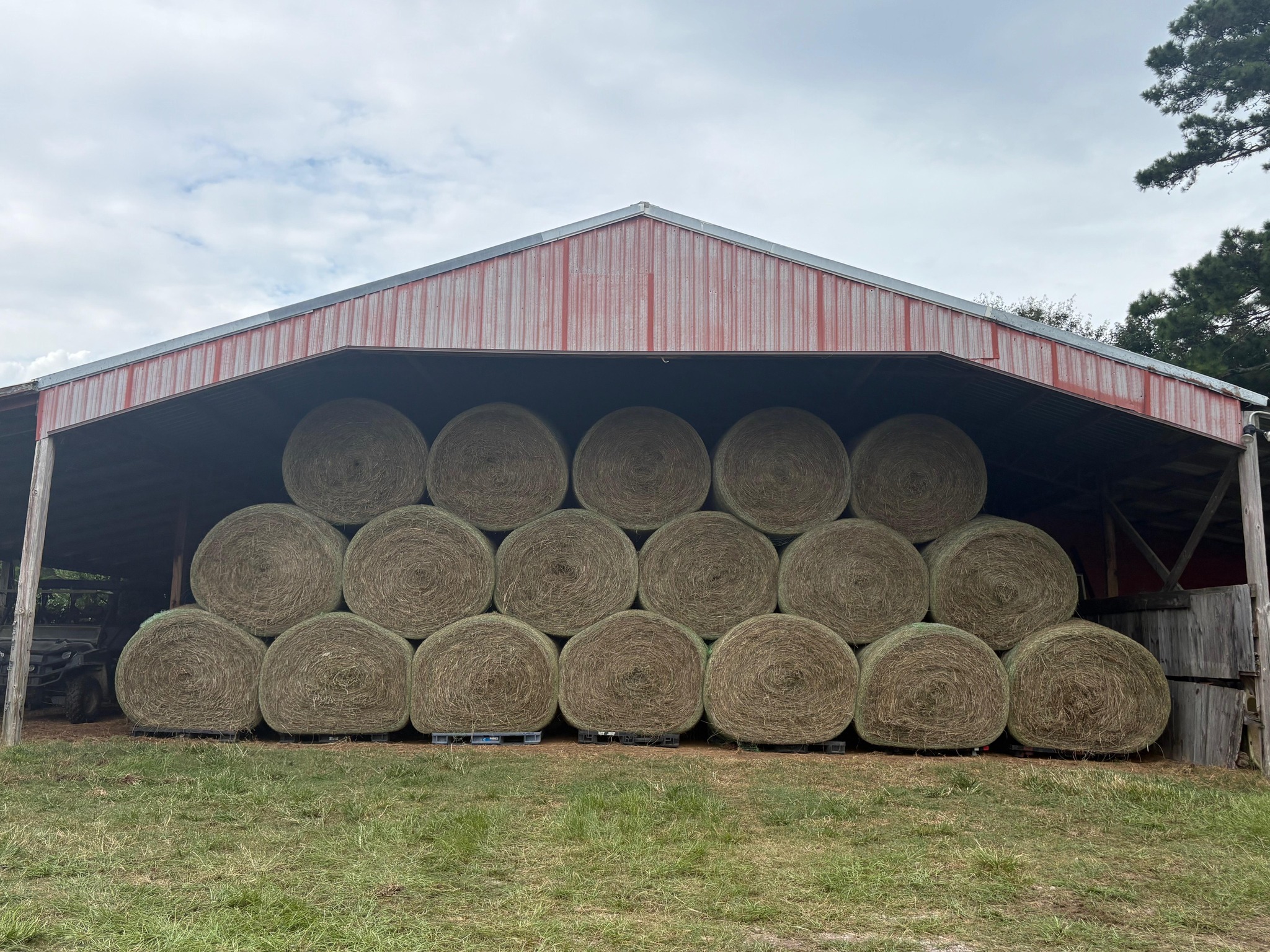 Lone Shadow Farm | Waverly Hall GA