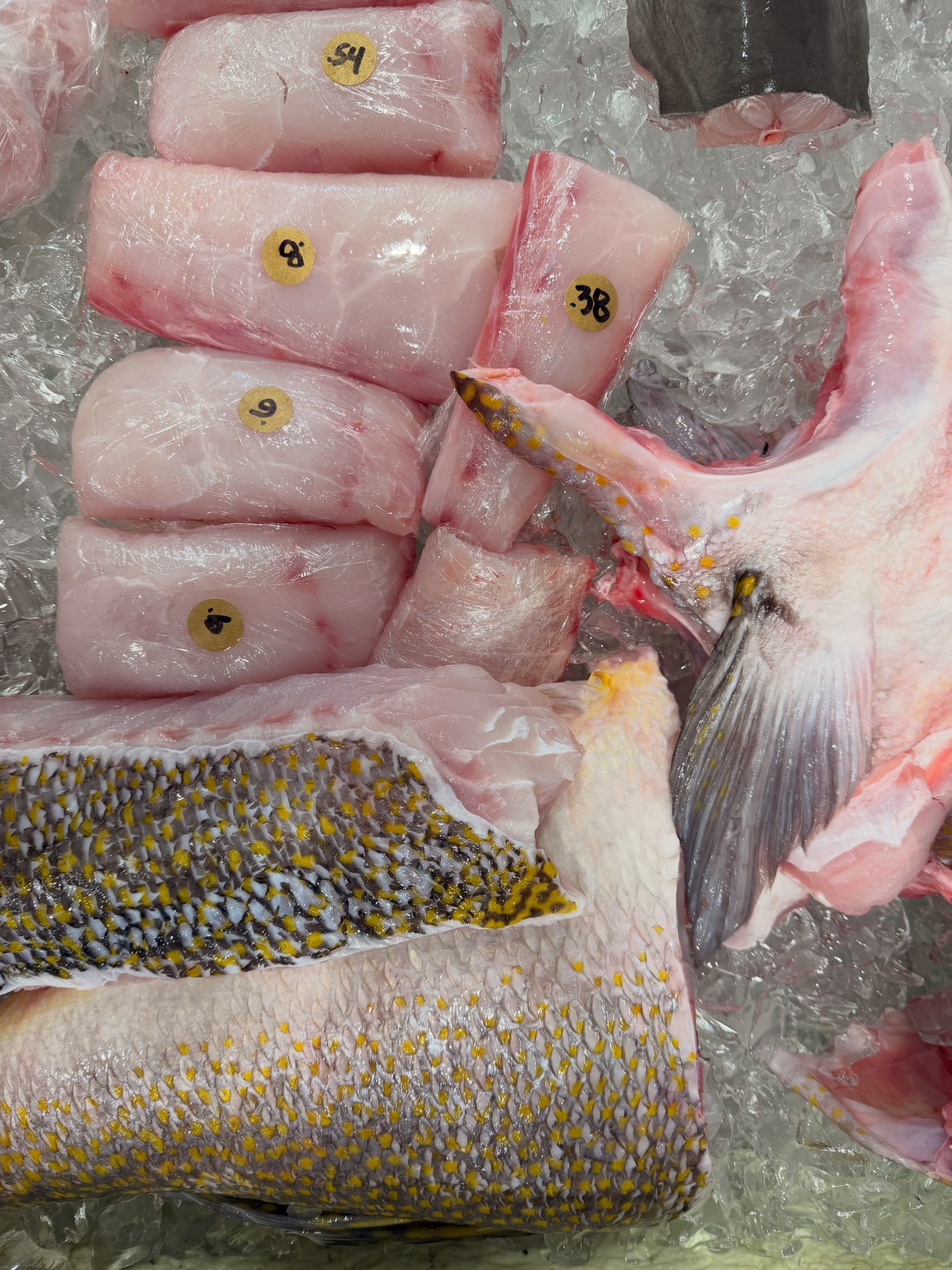Zora's | Wilmington NC