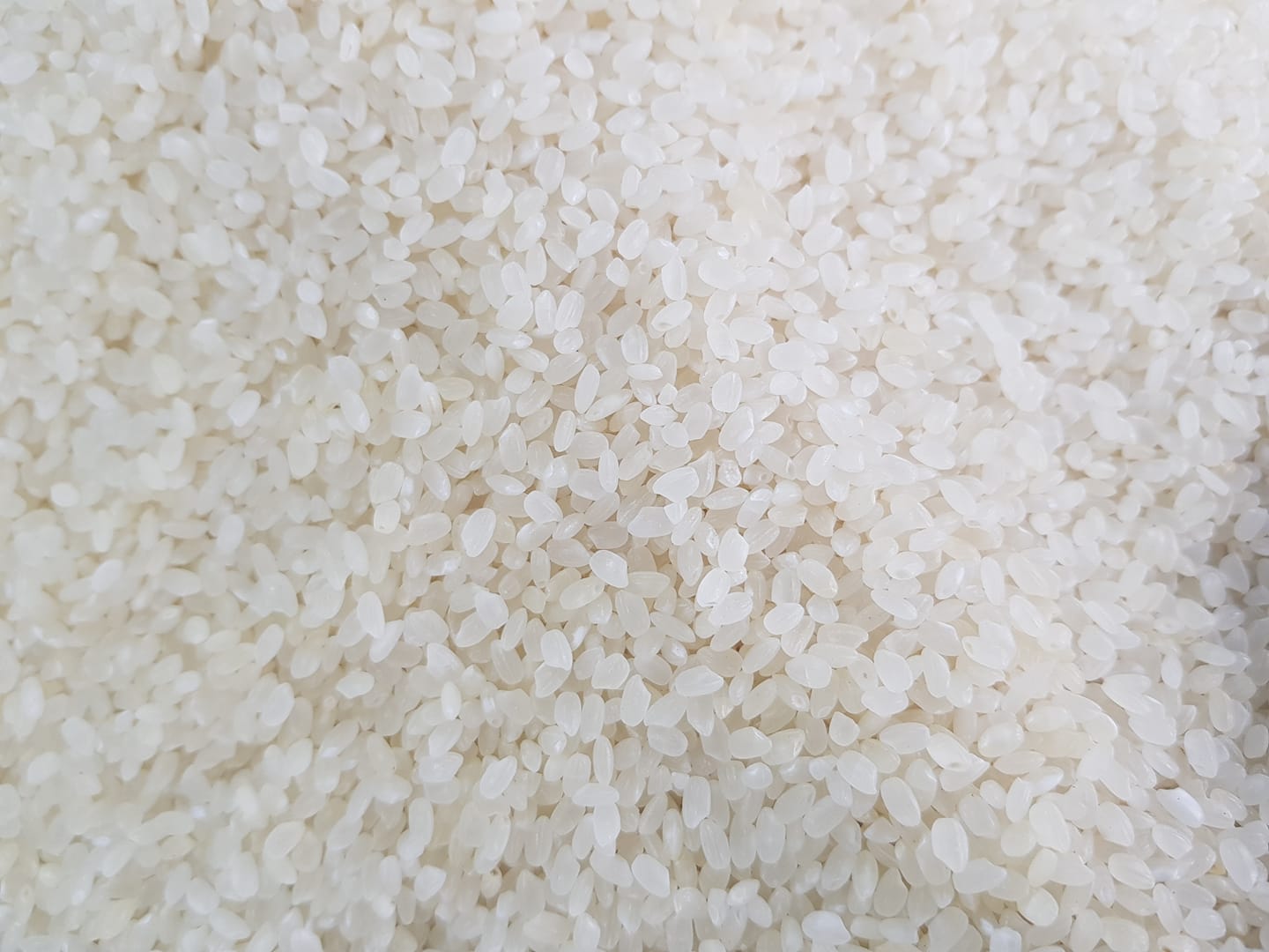 Go and make some... - Triple J Rice Dealer / TJ Royale Grains | Facebook
