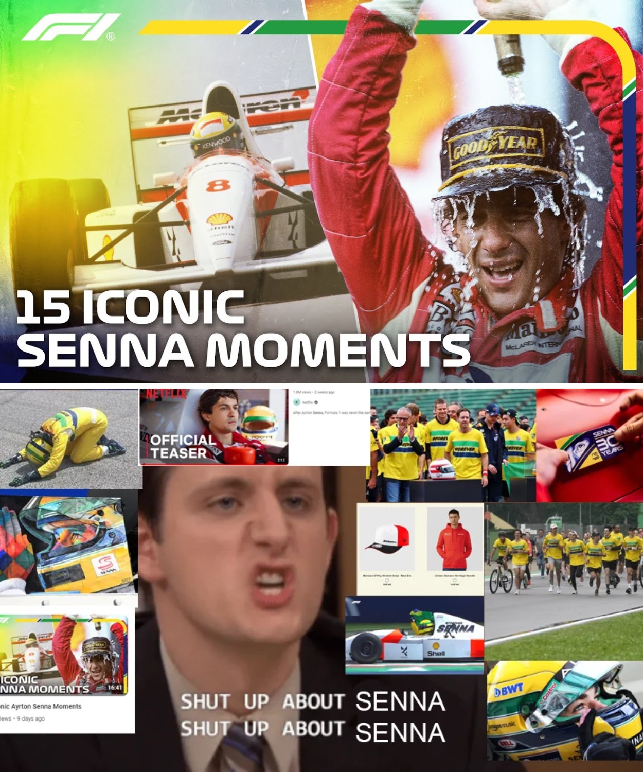 AYRTON SENNA 10YEARS PORTRAITS 24枚 ポスター AYRTON SENNA 10YEARS