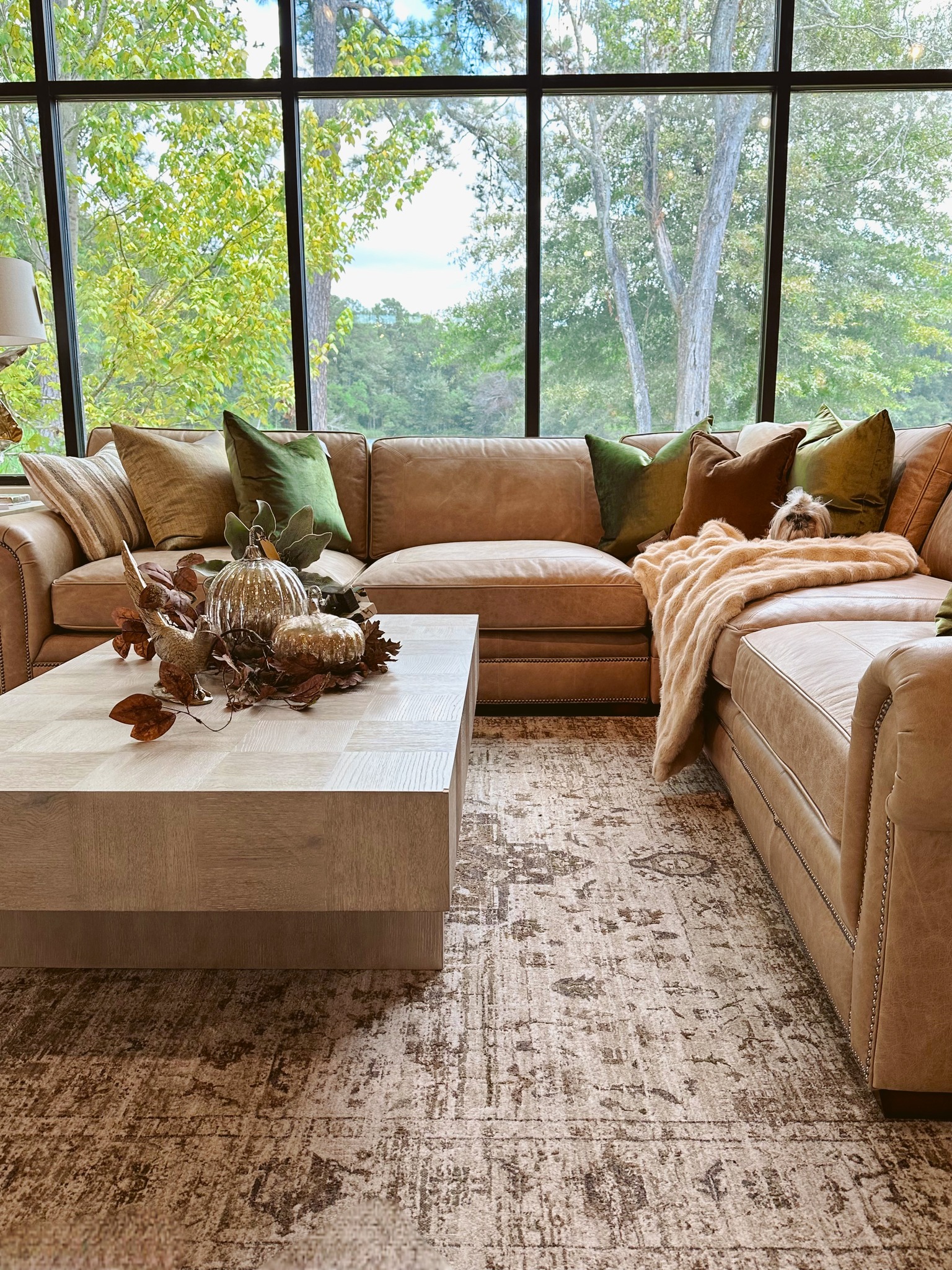 American Factory Direct Furniture | Covington LA