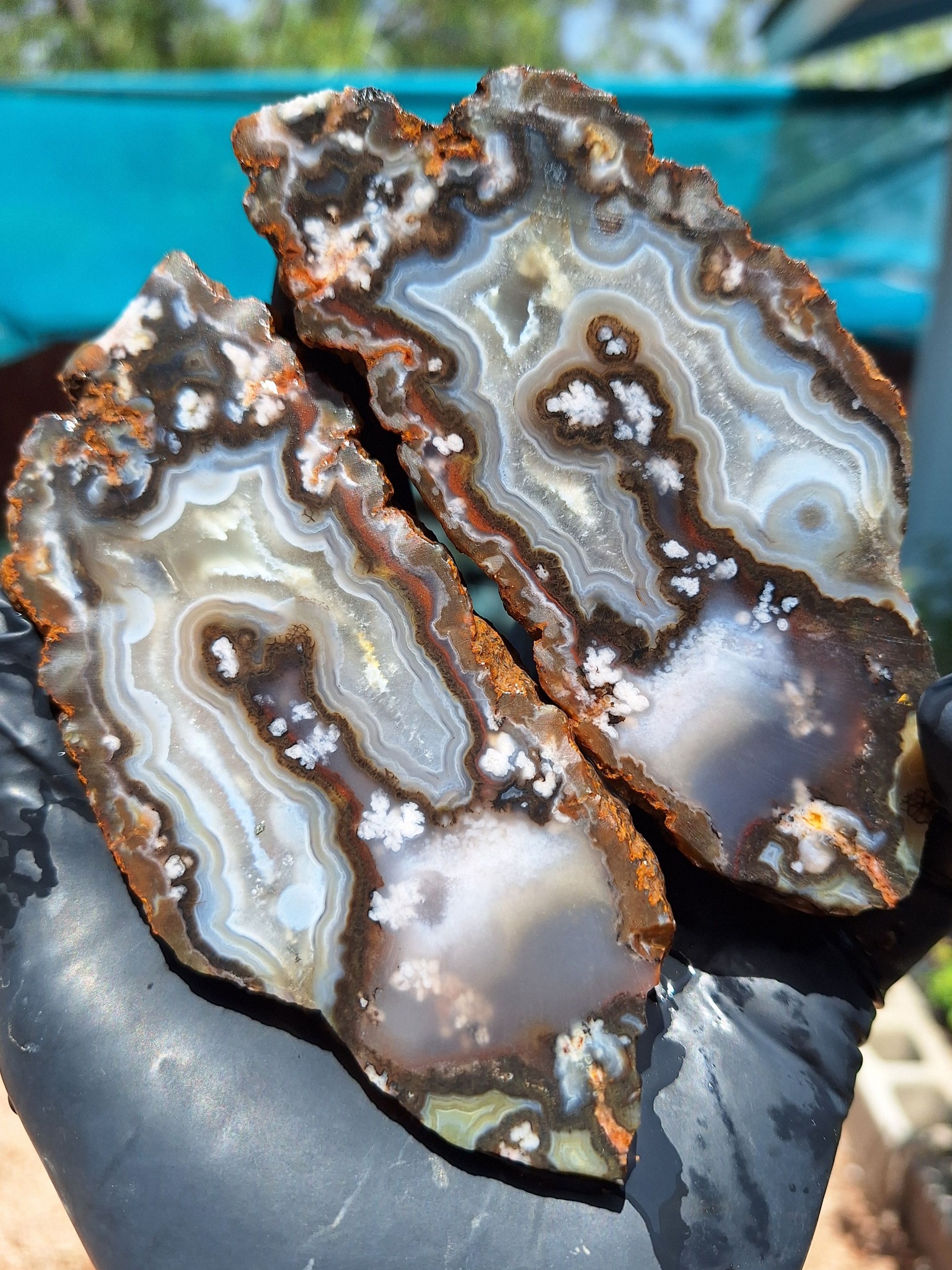 Agate Collectors Worldwide