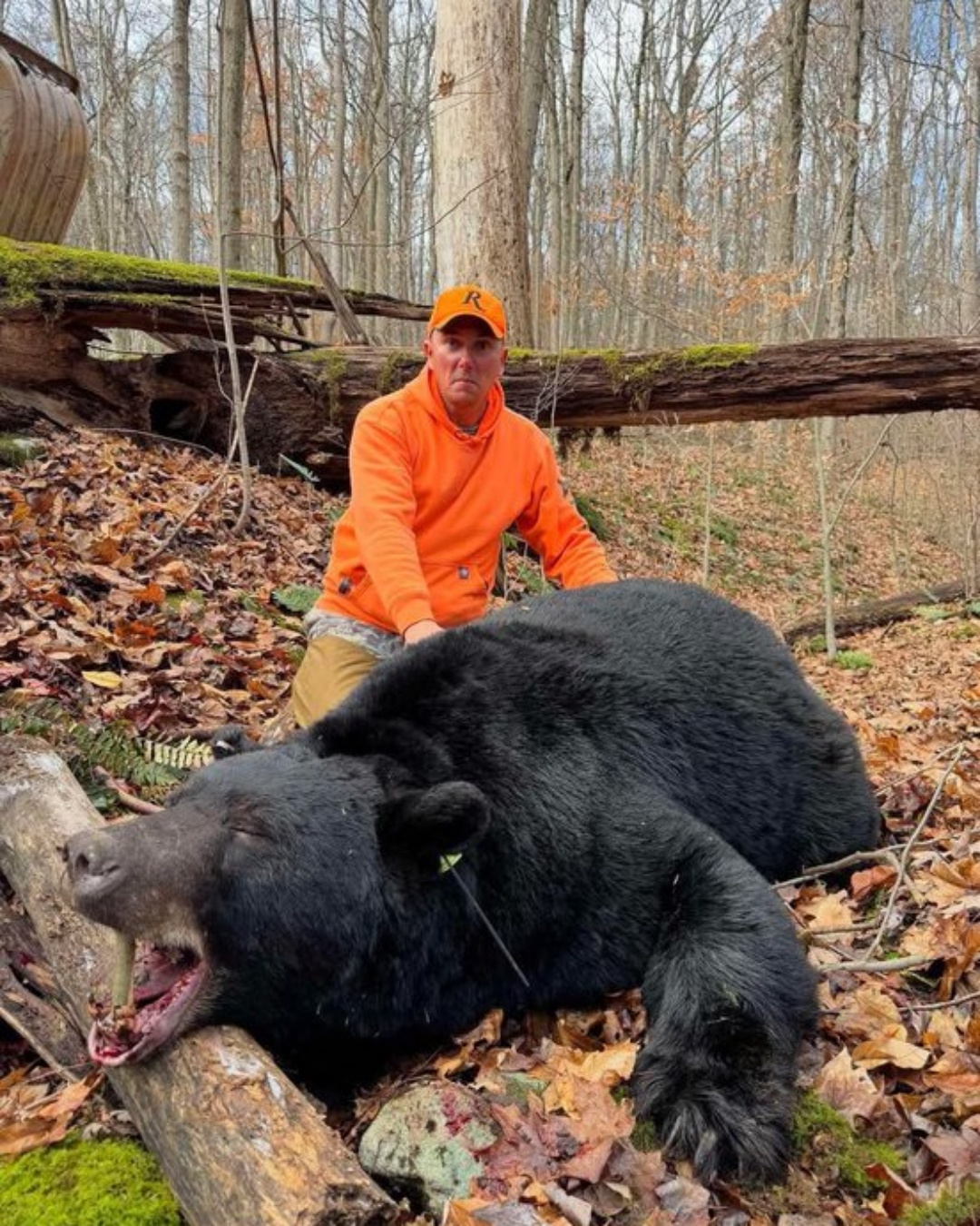 A hunter bagged a 717-pound black bear at Moraine State Park.