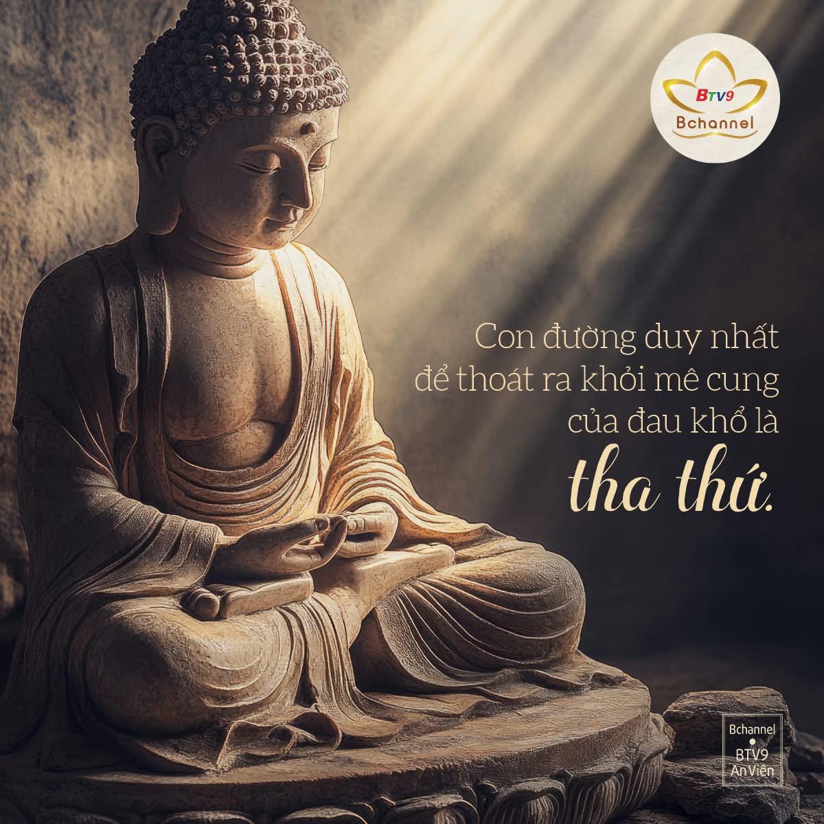 Phạm - “Ngày tháng của bạn chỉ có hạn. Hãy sử dụng chúng để mở cánh cửa ...