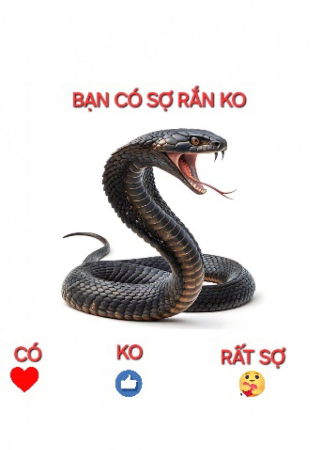 Sinh - 1p thật lòng | Facebook