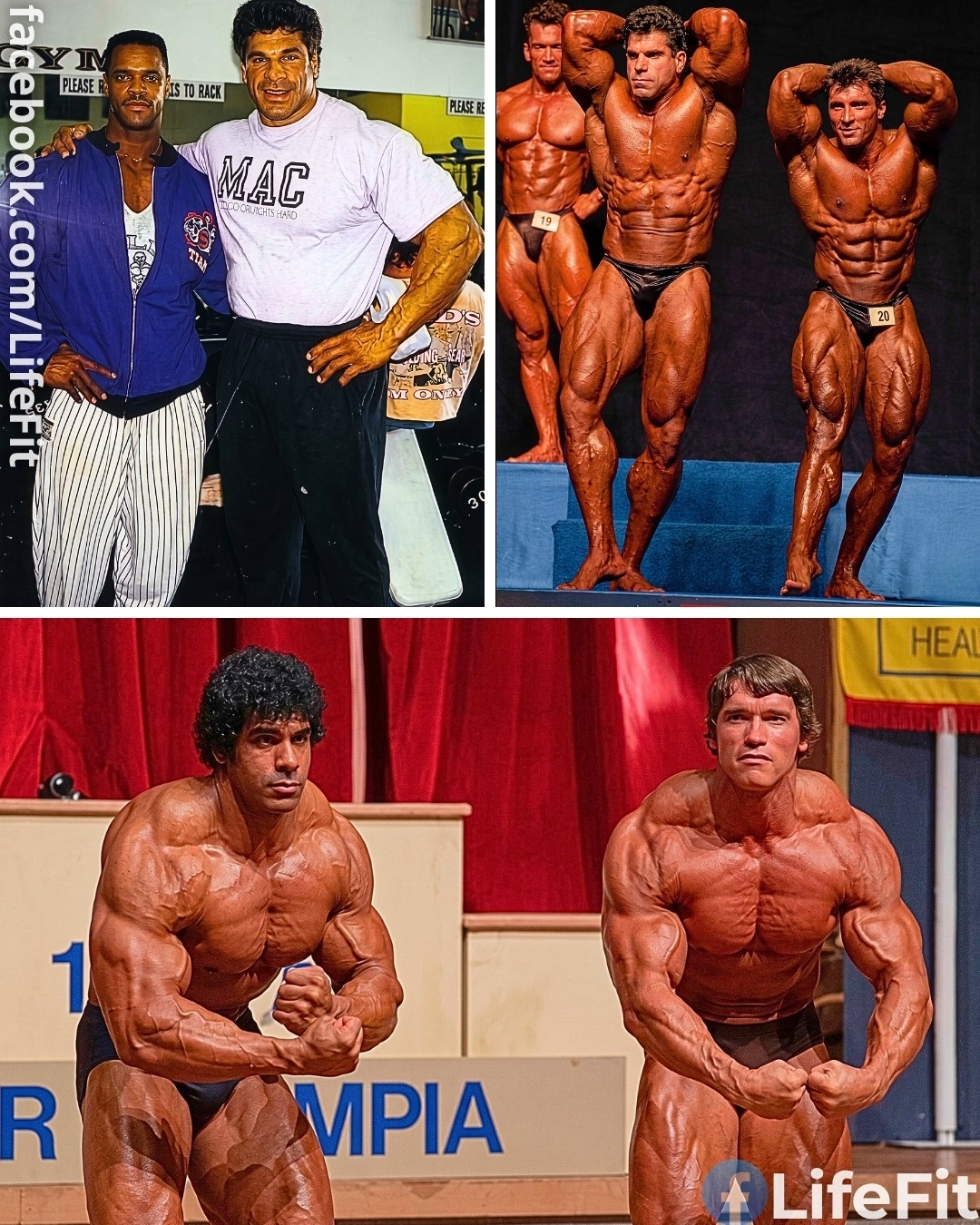big lenny melanotan was known for his larger than life personality and his unique physique such as his distended stomach. He carved out a unique niche for himself, leading a group of bodybuilders Pick Flavor:Peach Mango Buy Fragment 176-191 & sales_weekly:number:125.03
