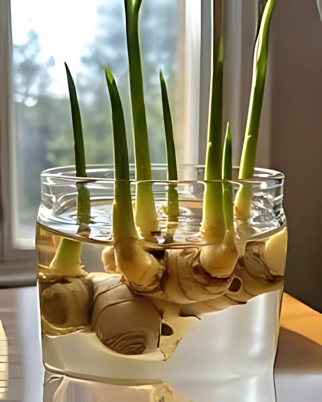 aufbewahrungs glas Feenstaub Personalisiertes mit Deckel, Aufbewahrungsglas mit Namen, Holzdeckel mit Gravur, Vorratsdosen Glas mit Deckel, Vorratsglas, Geschenke zur Kommunion, Erstkommunion Geschenk, Symbol Küche, Haushalt & Wohnen Farbe und Größe:2-Schwarz-S Aufbewahrungsfristen für Privatpersonen. Was, Furniture