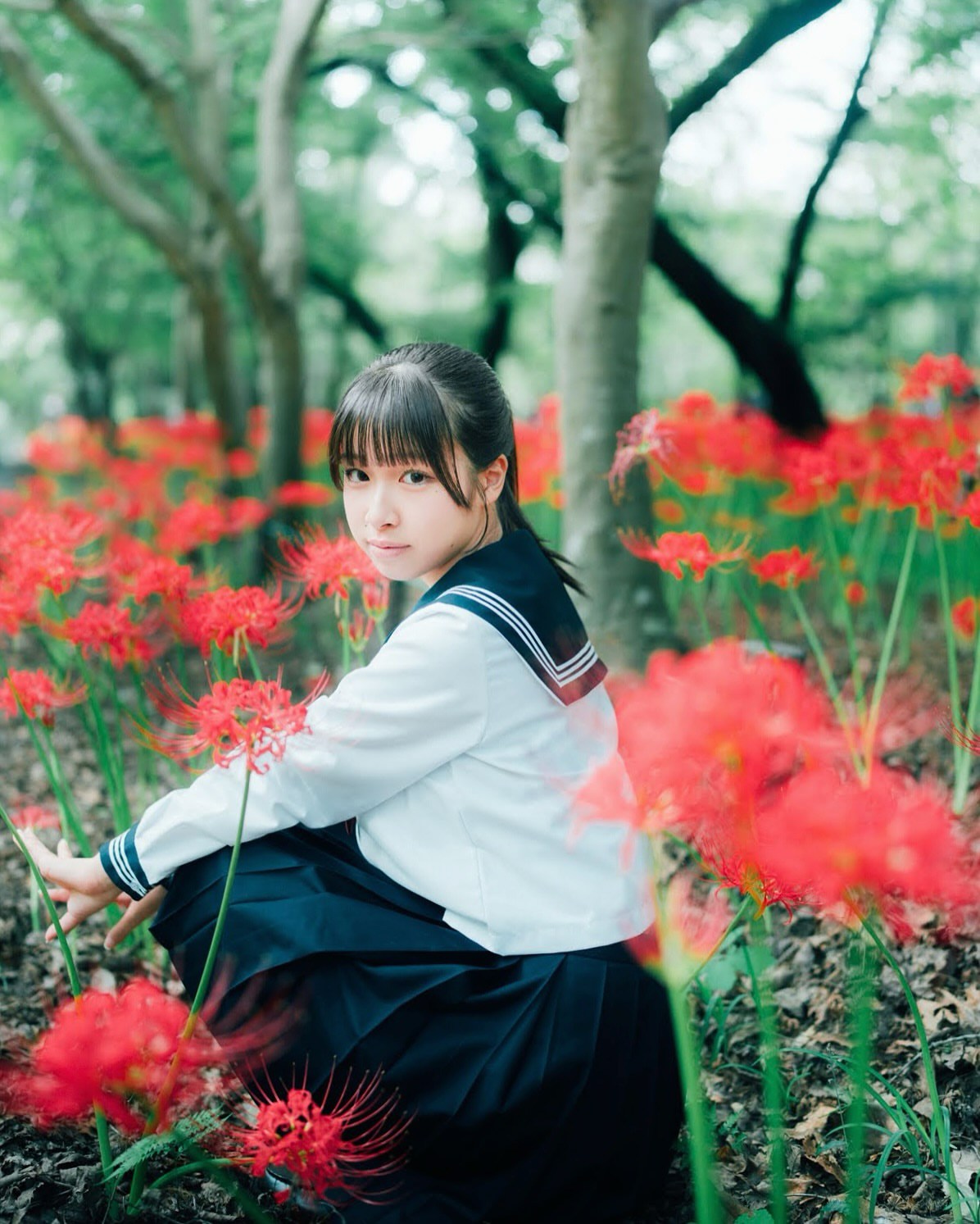 Aoika - 友達になってくれますか？ ️ ️ ️👇👇👇👇 | Facebook