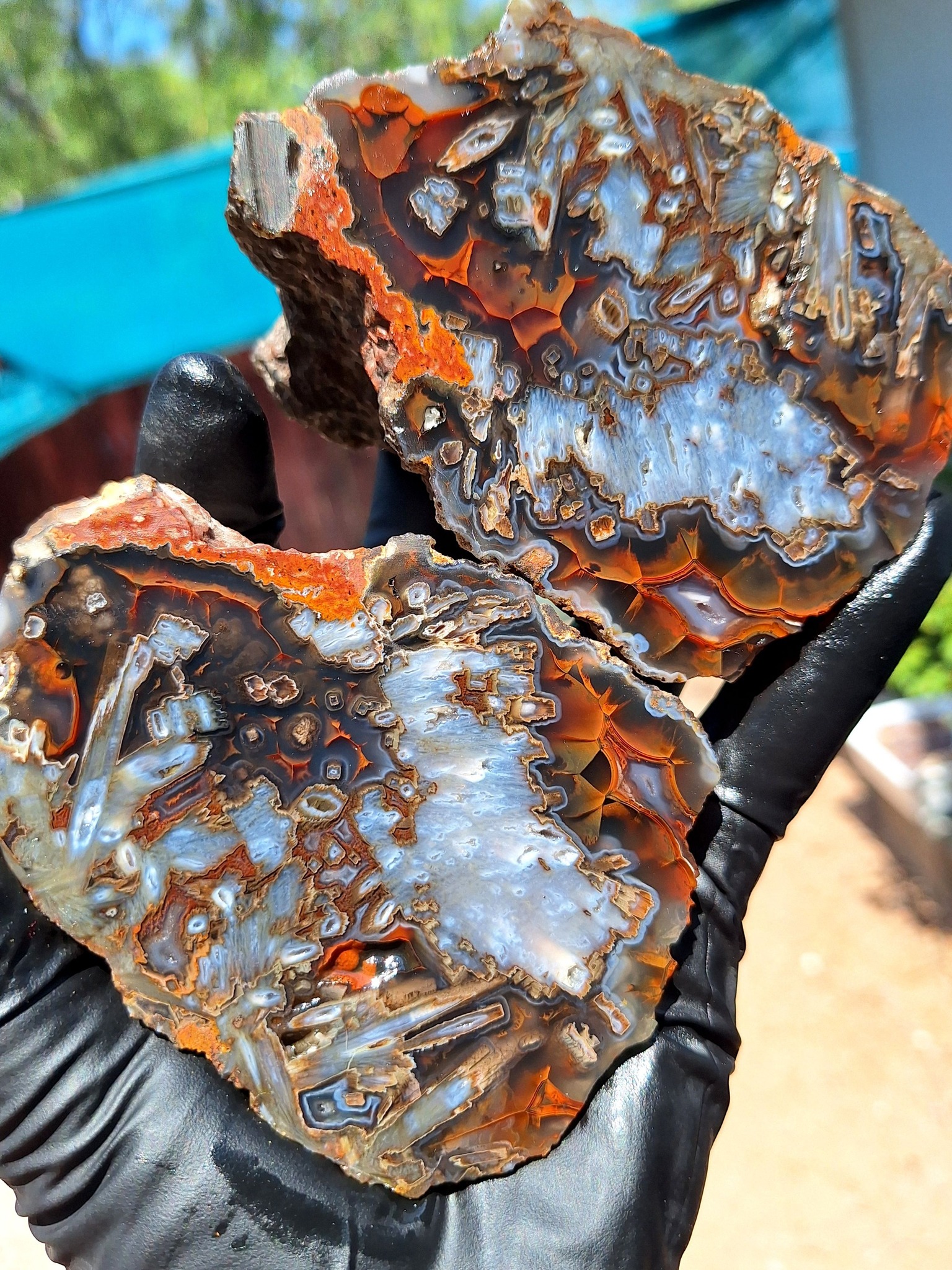 Agate Collectors Worldwide