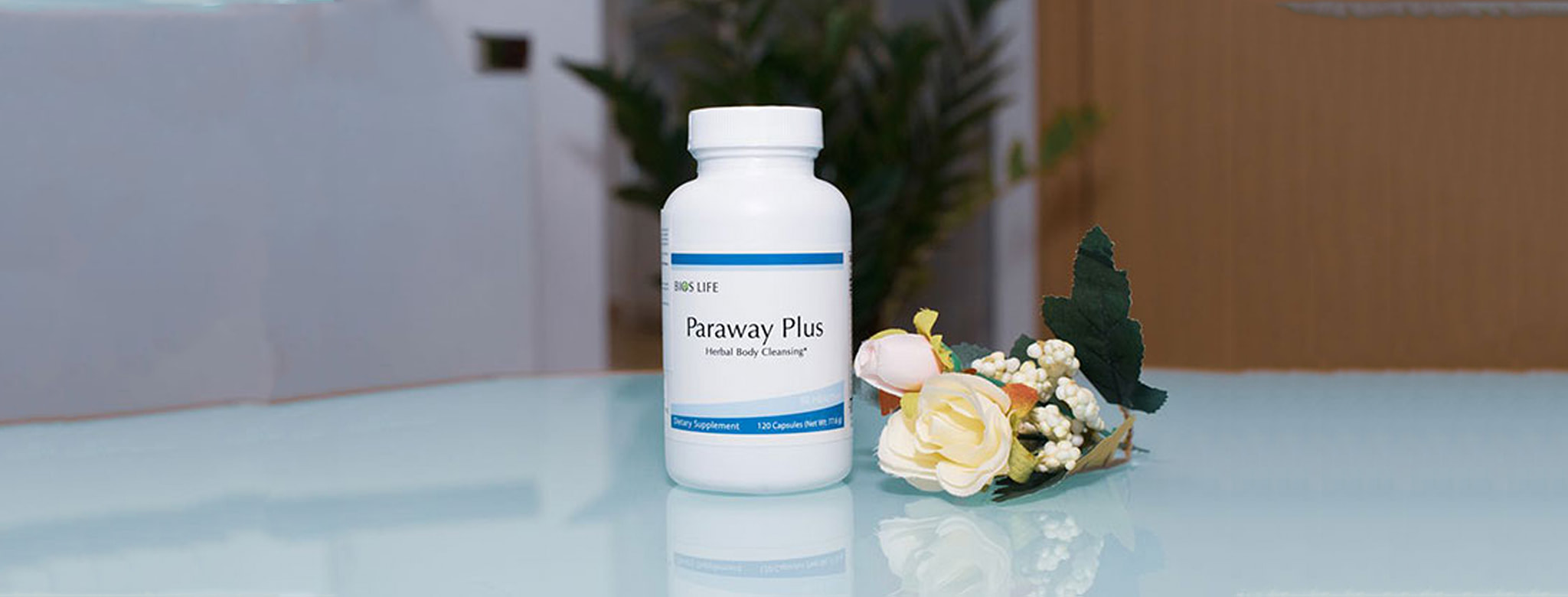 Paraway Plus | Phnom Penh