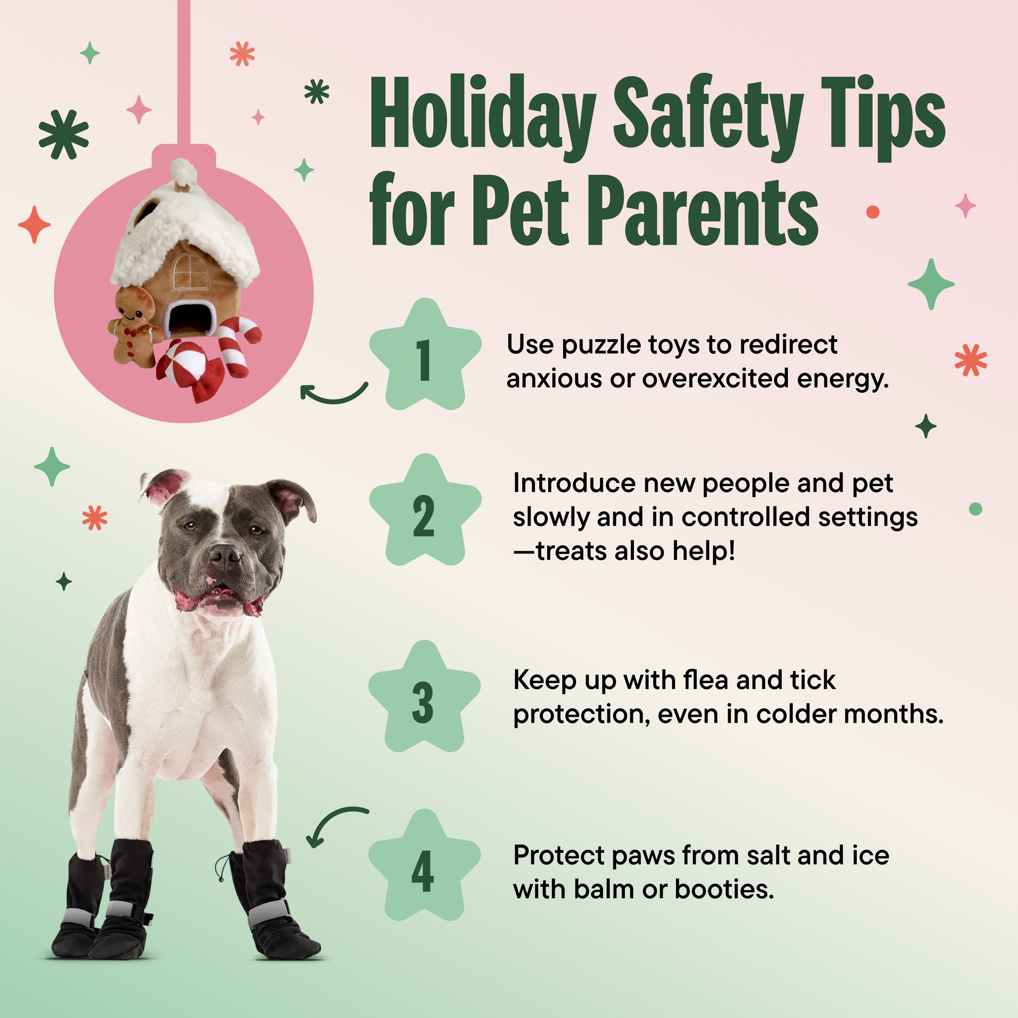 Illustration of Holiday Hazards For Flea Protection In Kittens