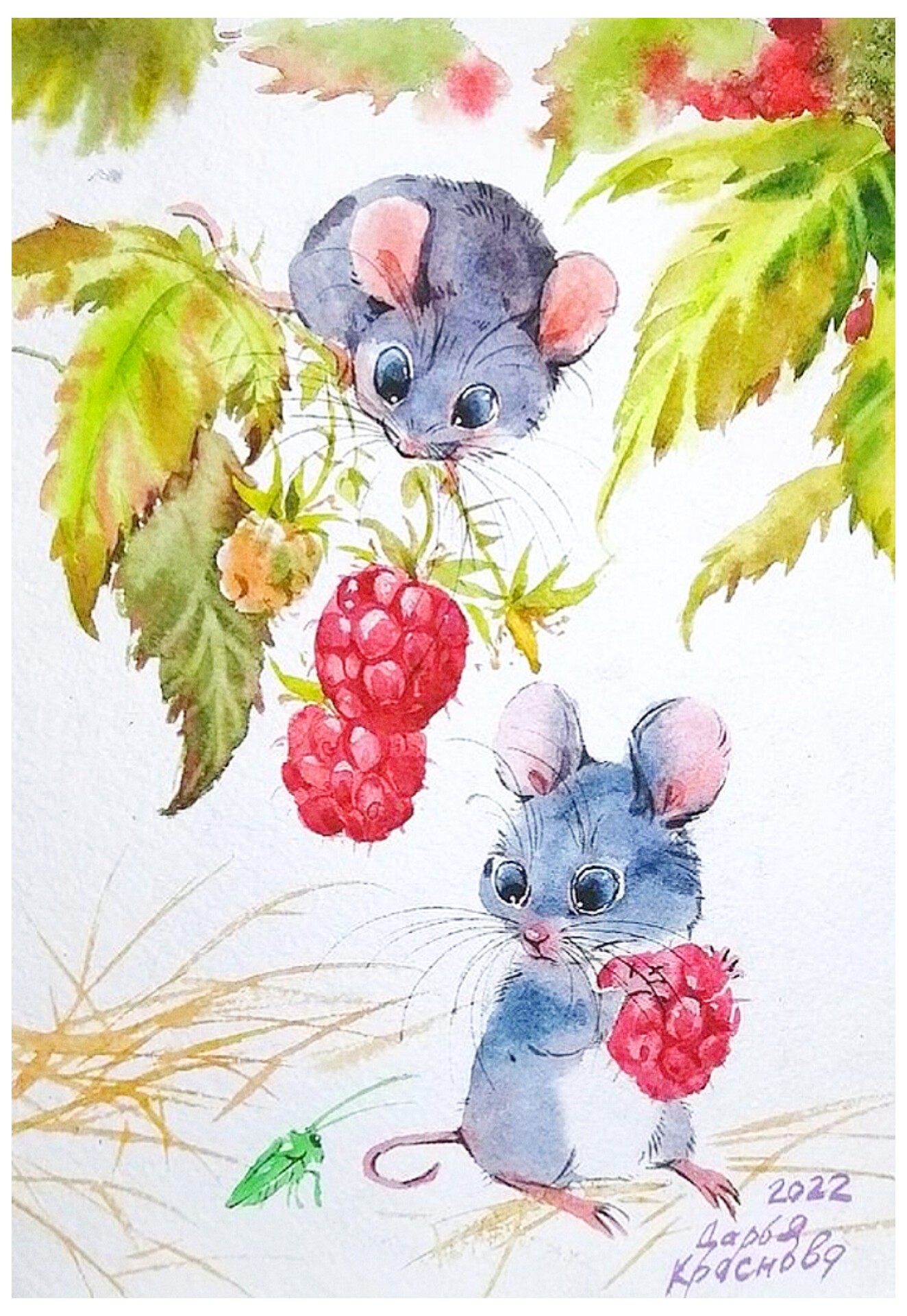 Easy - watercolor painting of two mice interacting with raspberries and ...