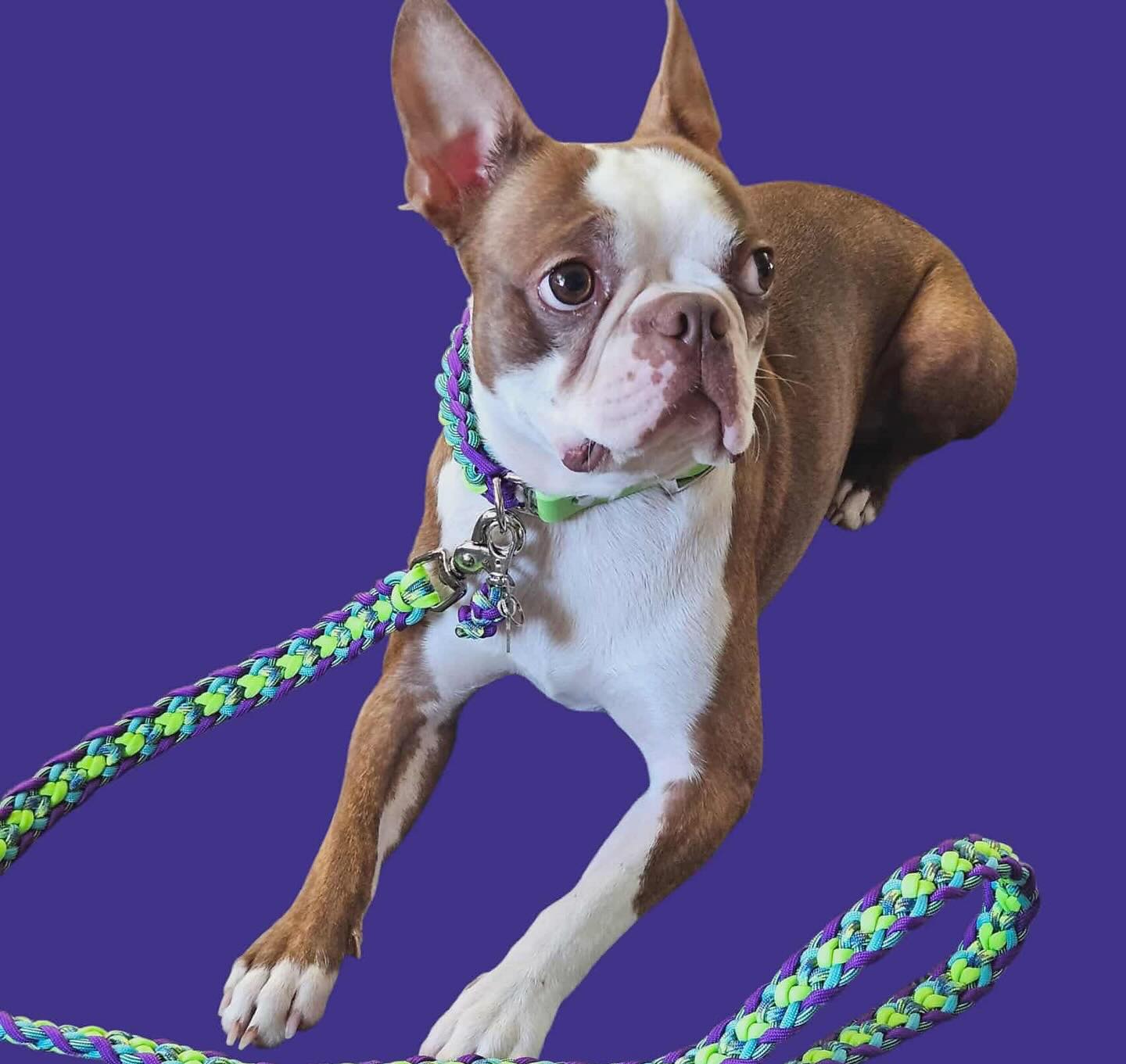 Rosie’s Ropes