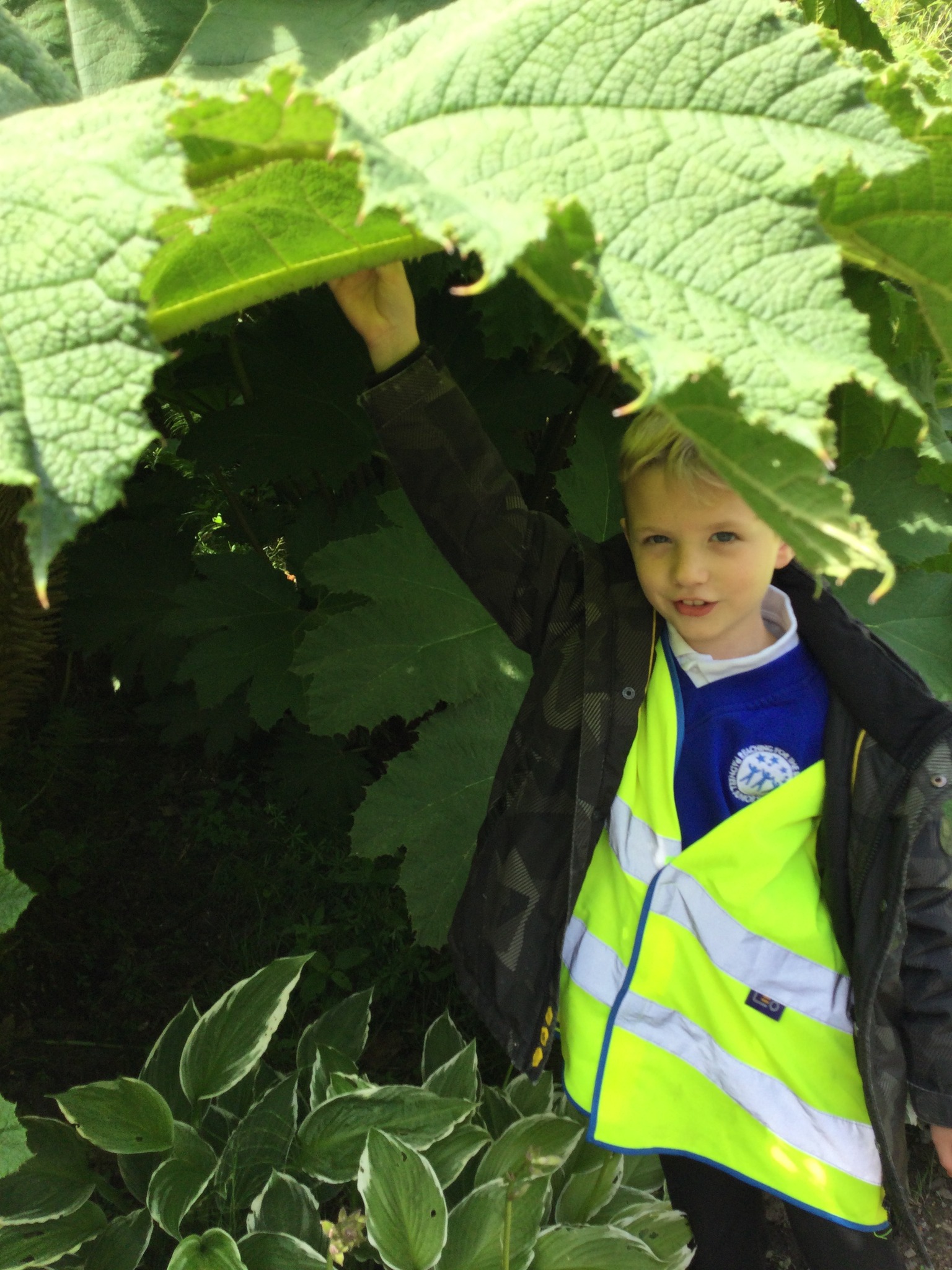 Padnell Junior School