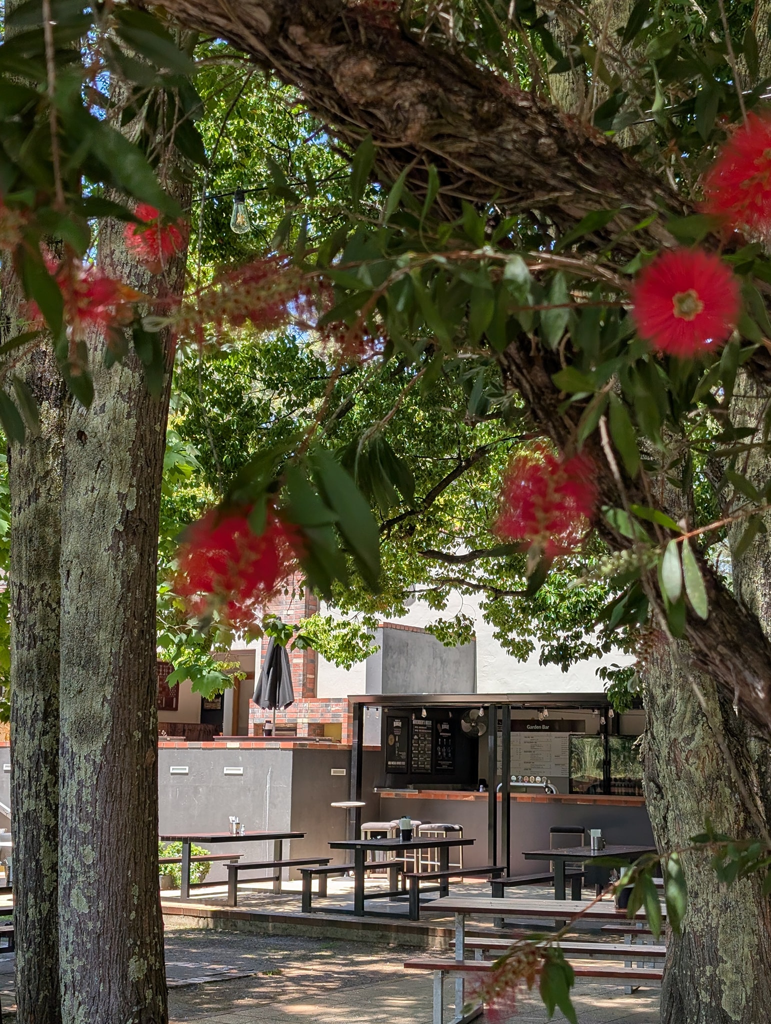 🌿 Nestled in the... - The Mahogany Inn and Distillery | Facebook