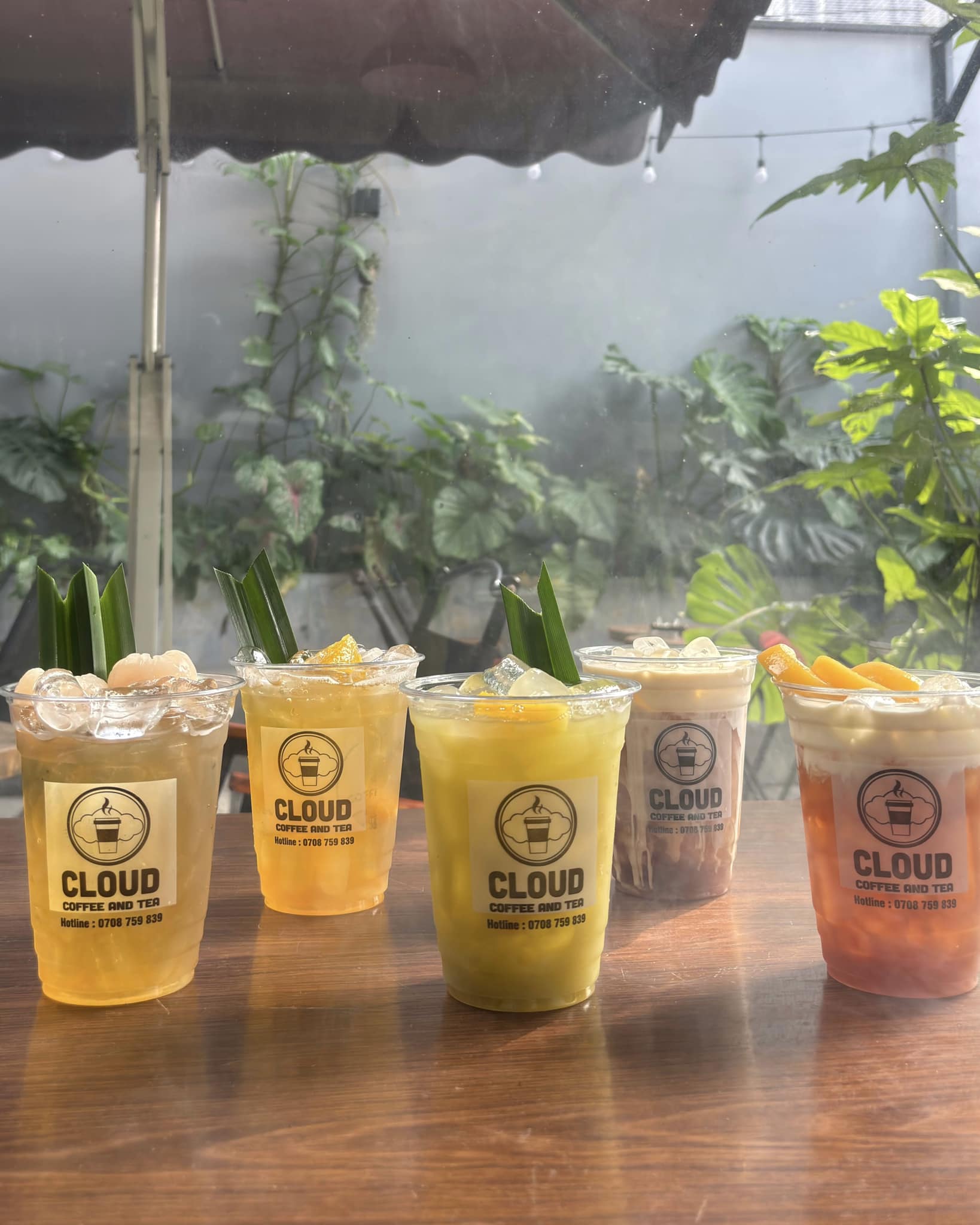 Cloud Coffee & Tea | Ben Luc