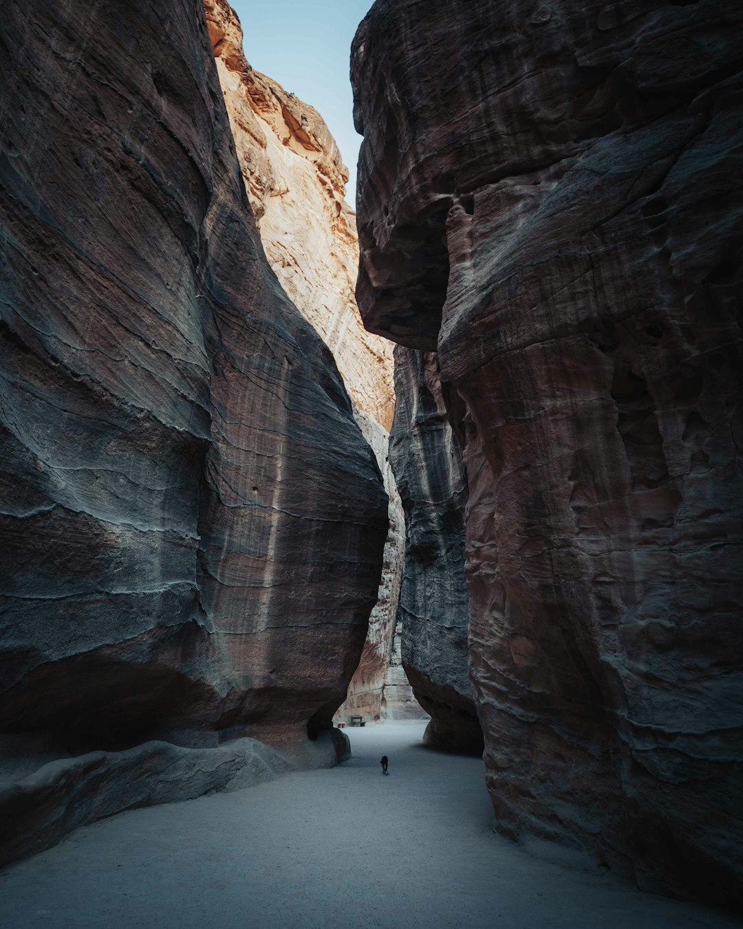 Globe - 🏜️ Petra - Jordan As the sun kissed the horizon, illuminating ...