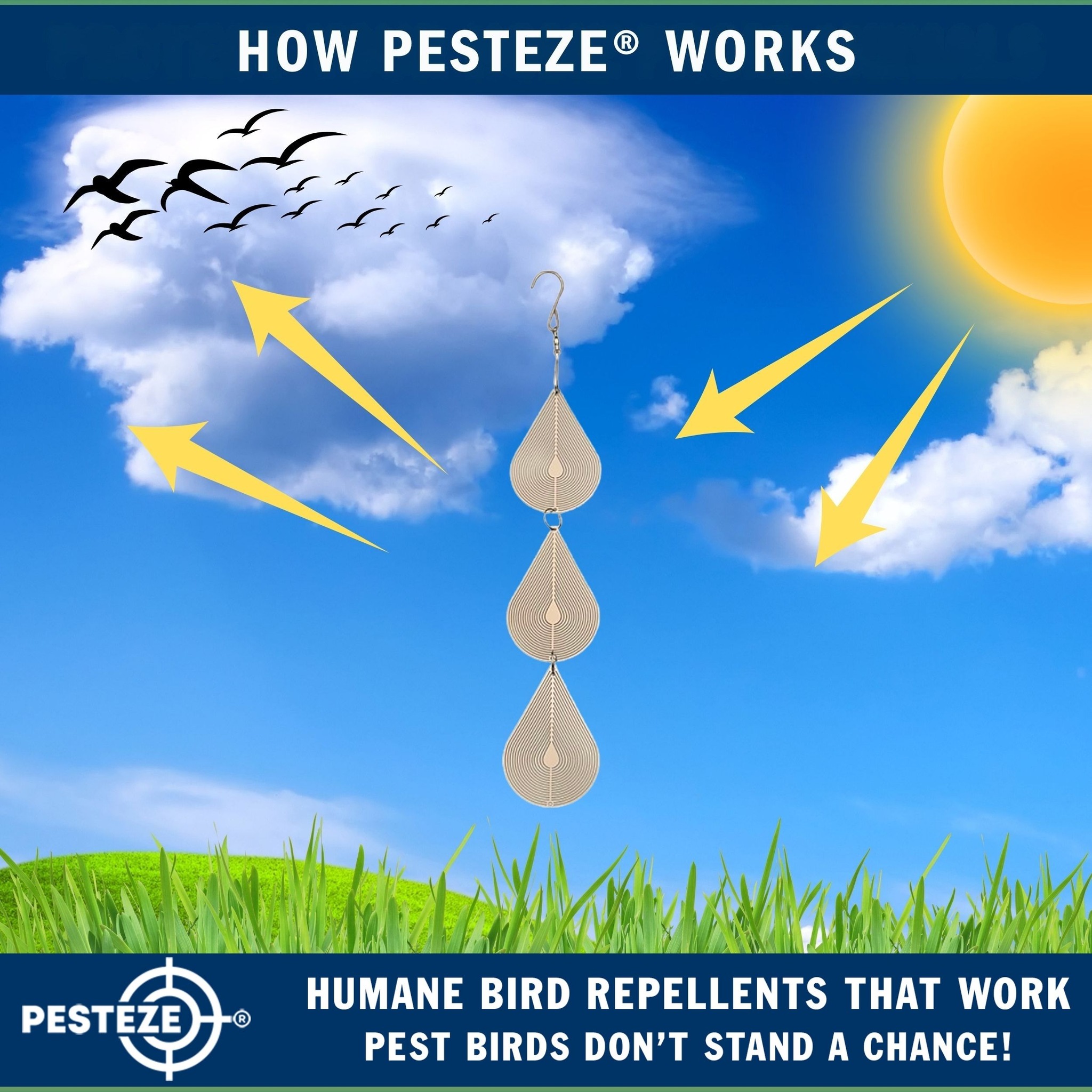 Naturally - 💧 Triple the Shine, Triple the Protection! 3-Piece PESTEZE ...