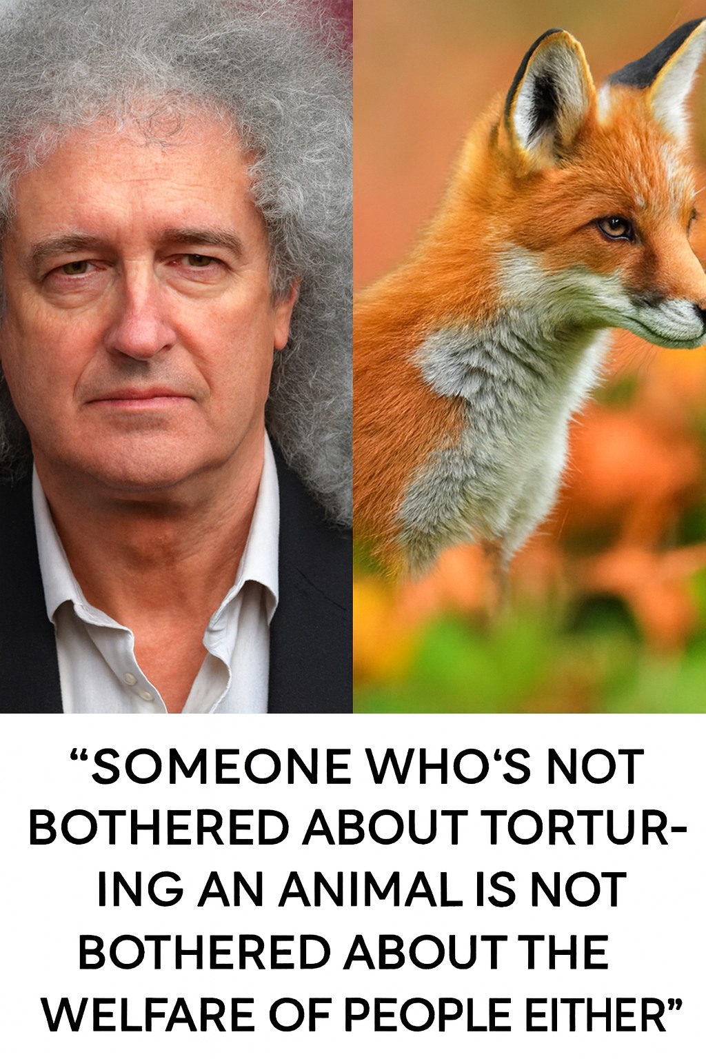 Broken Soul - Sir Brian May is bang on about fox hunters! | Facebook