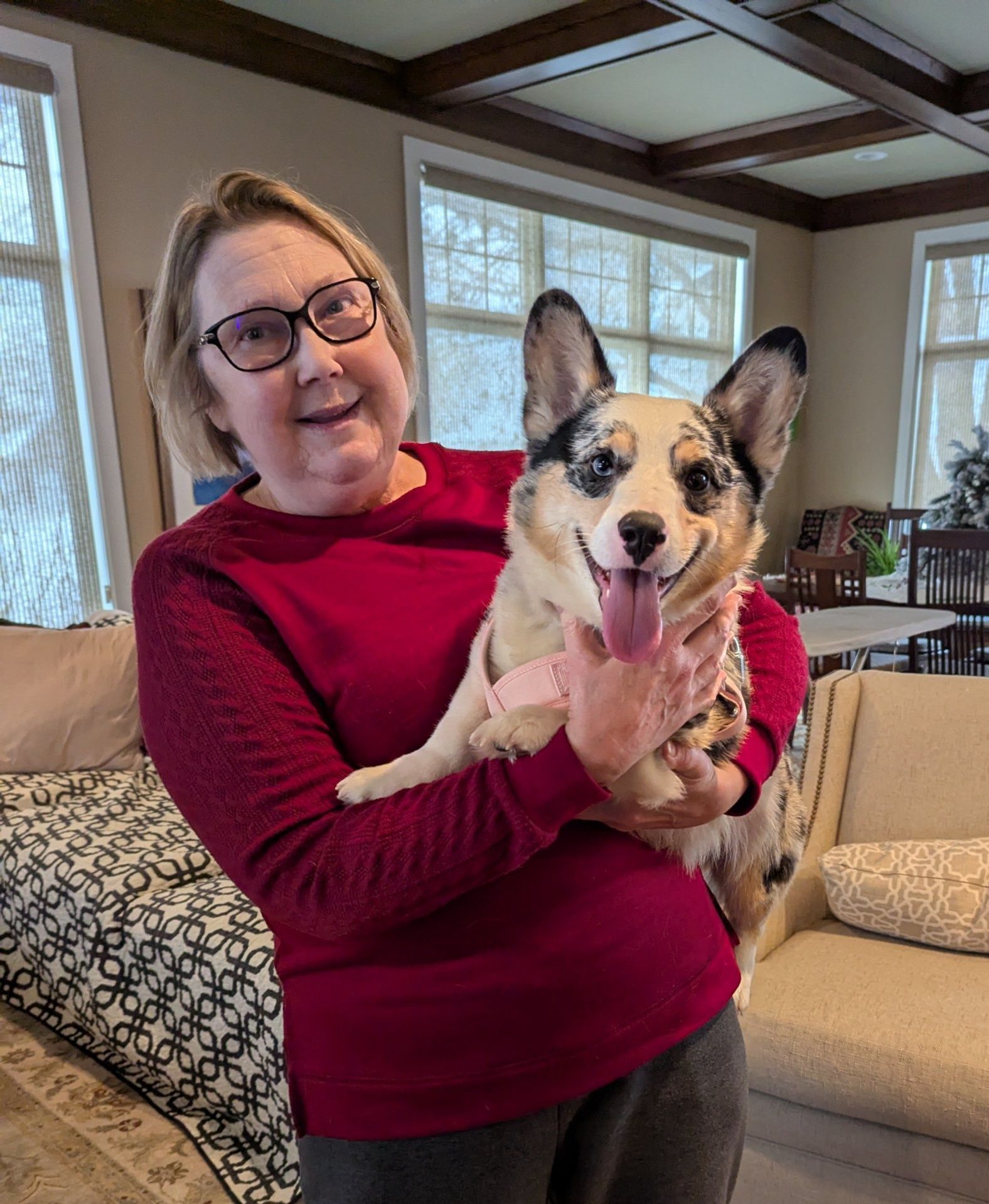 We wanted to welcome our new... - Max Raven Animal Rescue