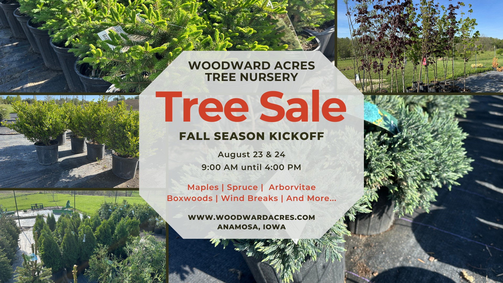 Tree Sale