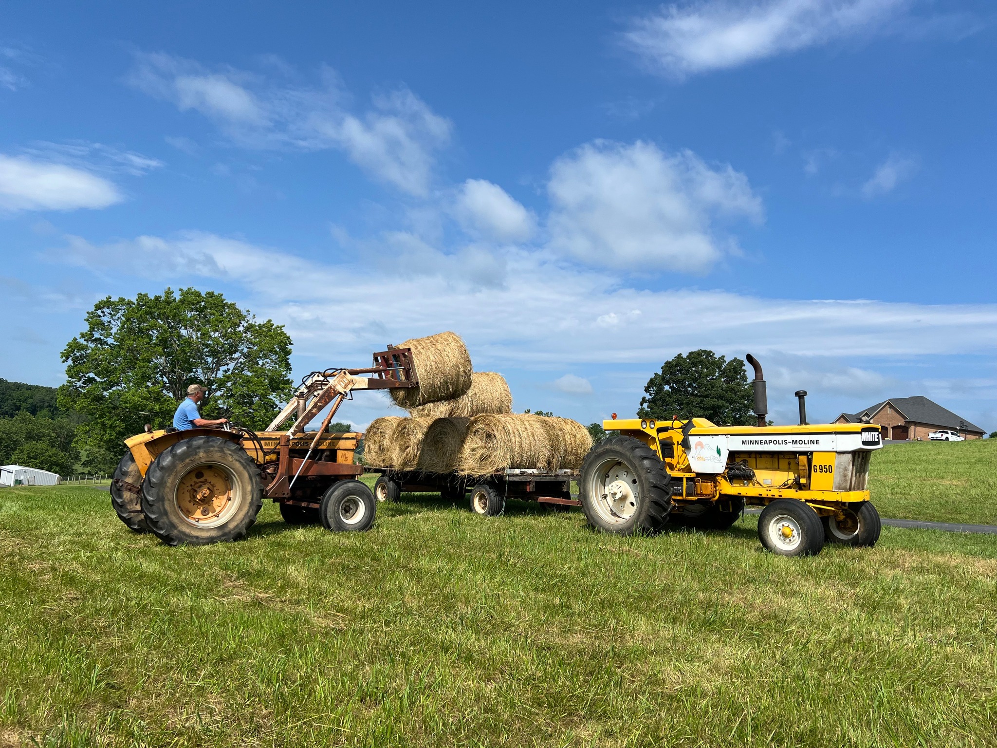 Donkey Patch Farms | Staunton VA