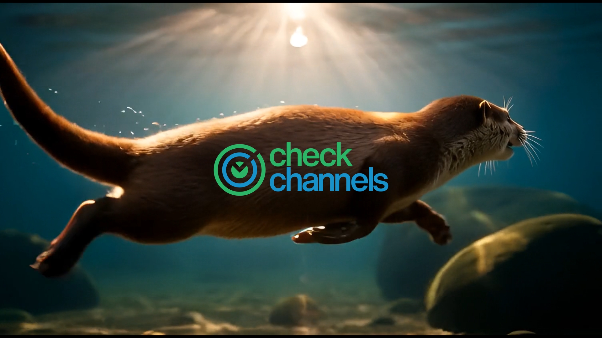 Check Channels | Myrtle Beach SC