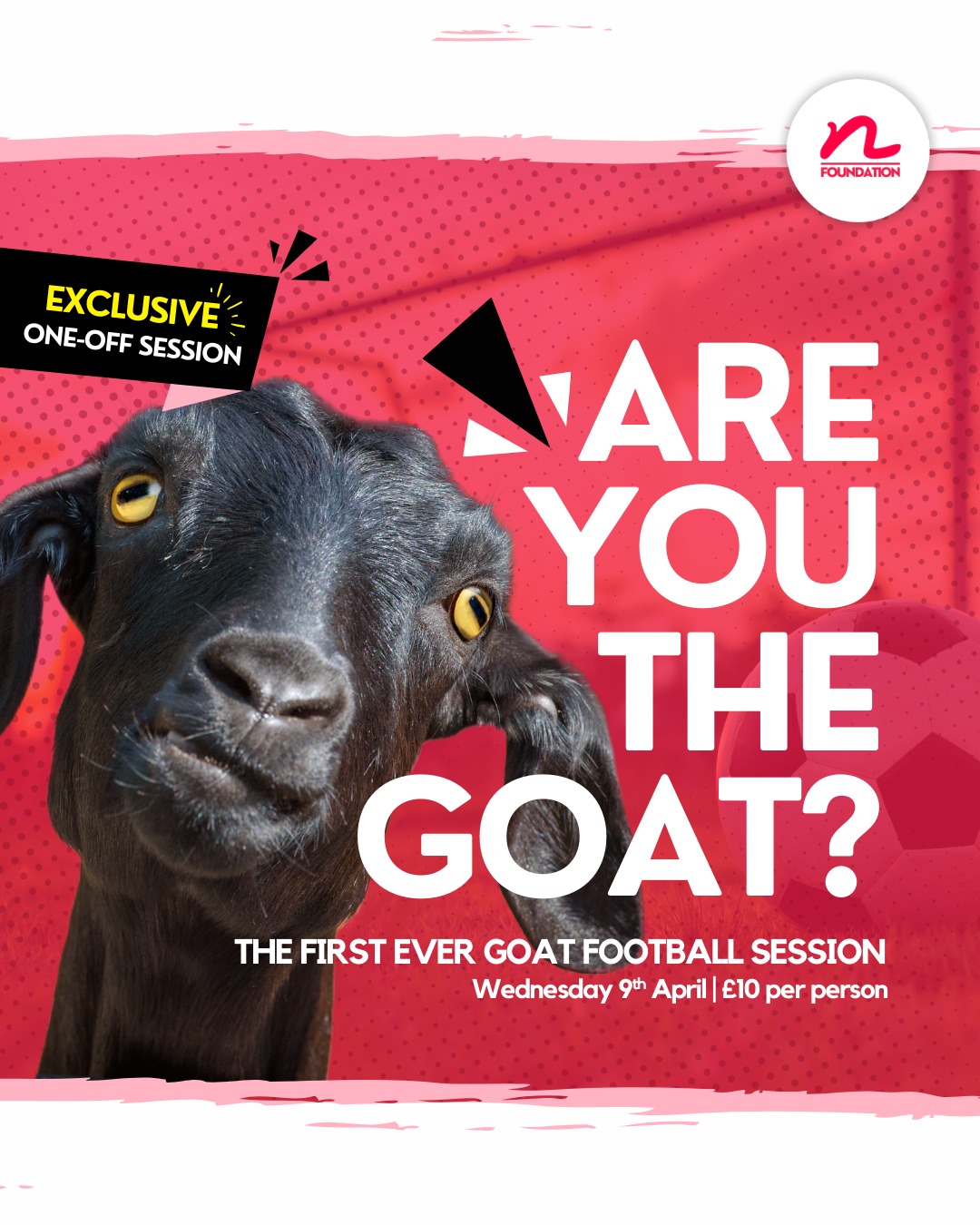 🐐⚽ GOAT Football! You’ve heard... - The New Croft Foundation | Facebook