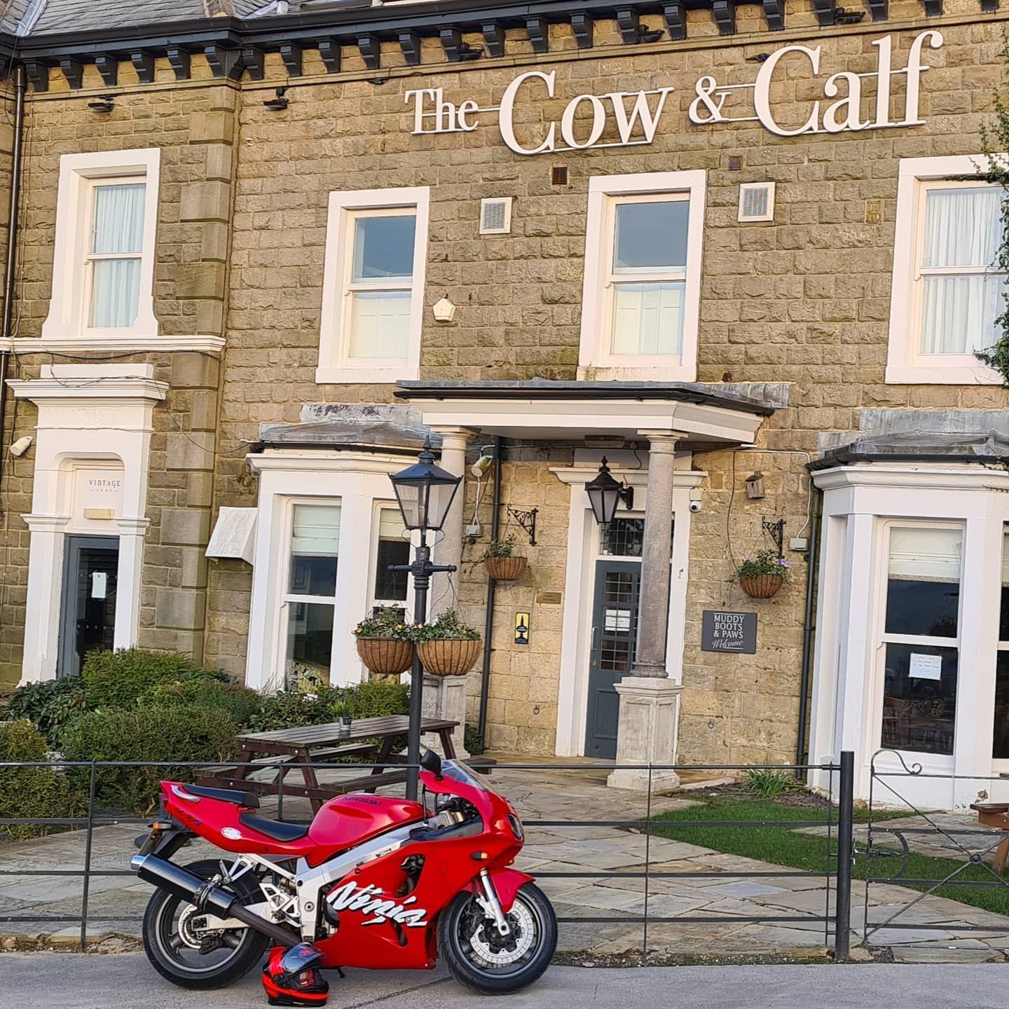 Tony - The — a machine that captured the magic of the superbike