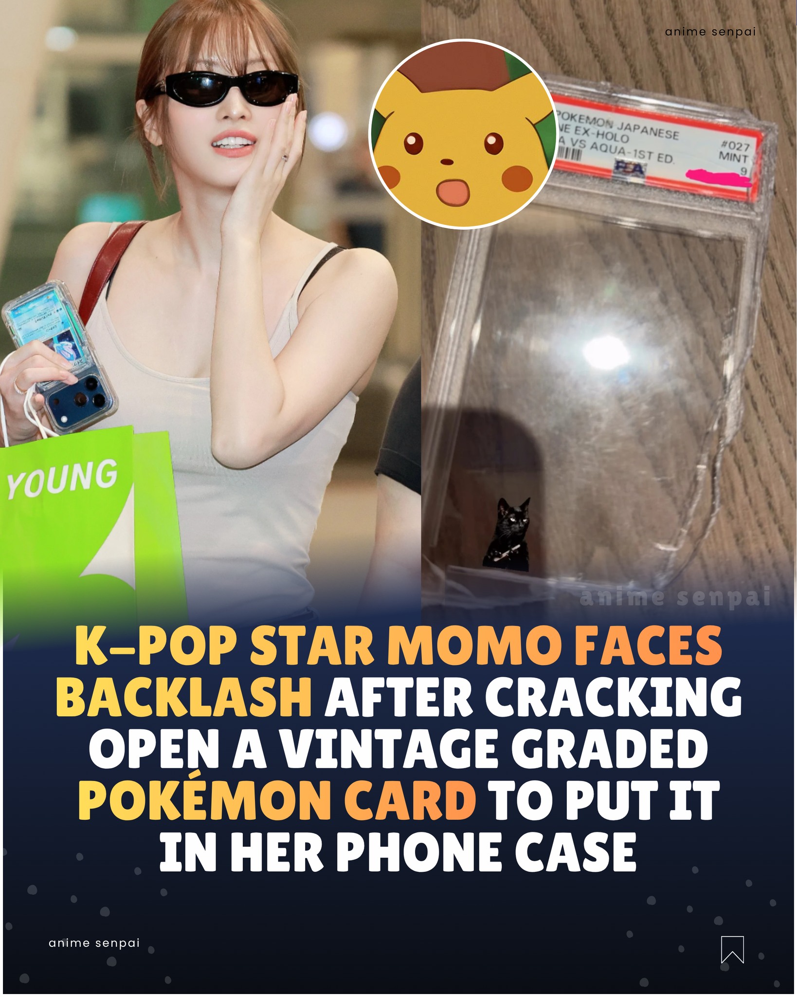 TWICE's Momo has sparked debate among Pokémon TCG collectors after