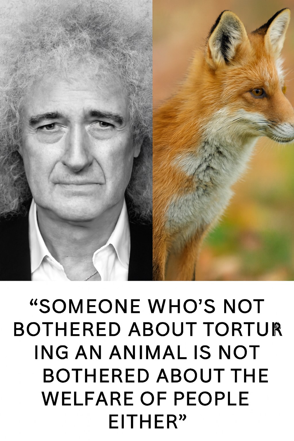 Broken - Sir Brian May is bang on about fox hunters! | Facebook