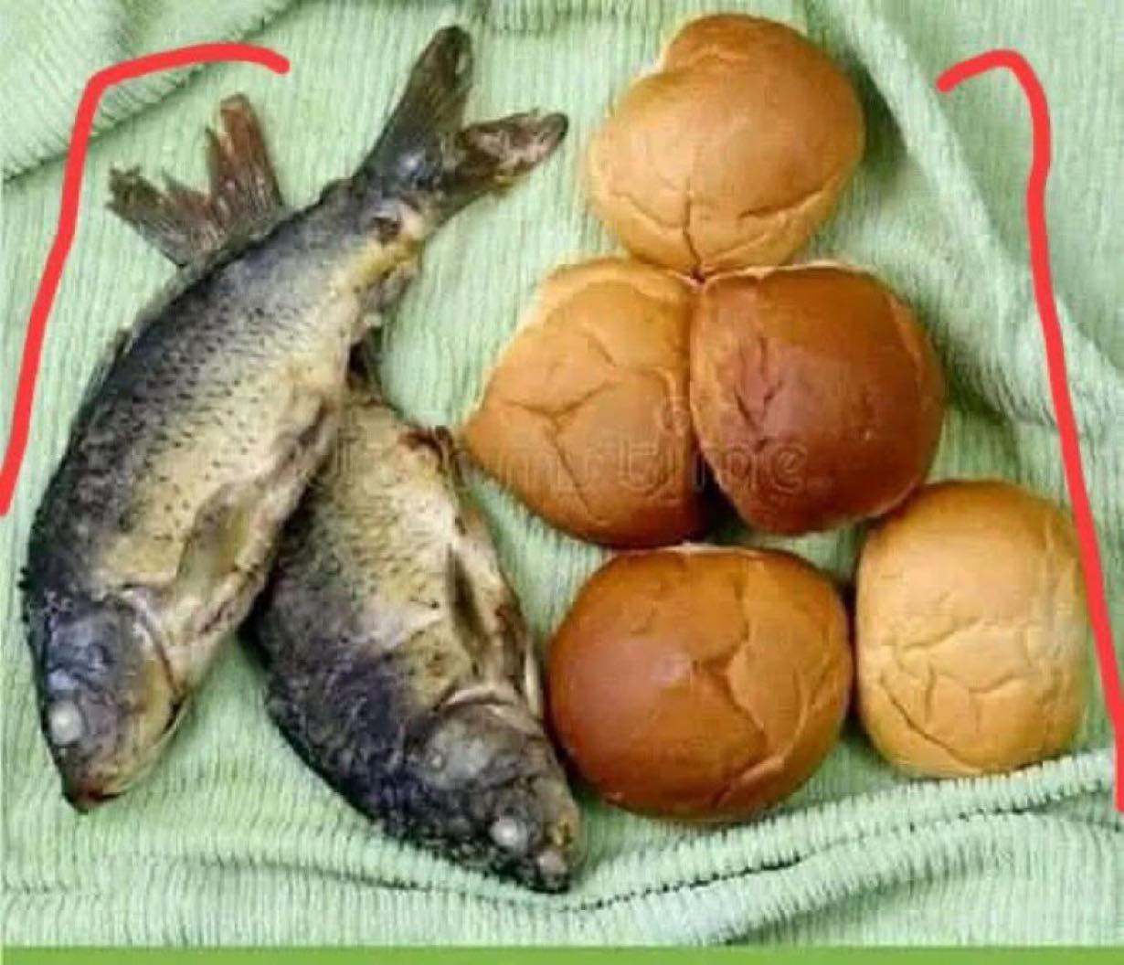 a loaf of bread and a box of fishes Two Fish & Five Loaves Bread: Toomer, Jacqueline M., Publishers, Hemingway: 9781966924814 Books So that Story of 5