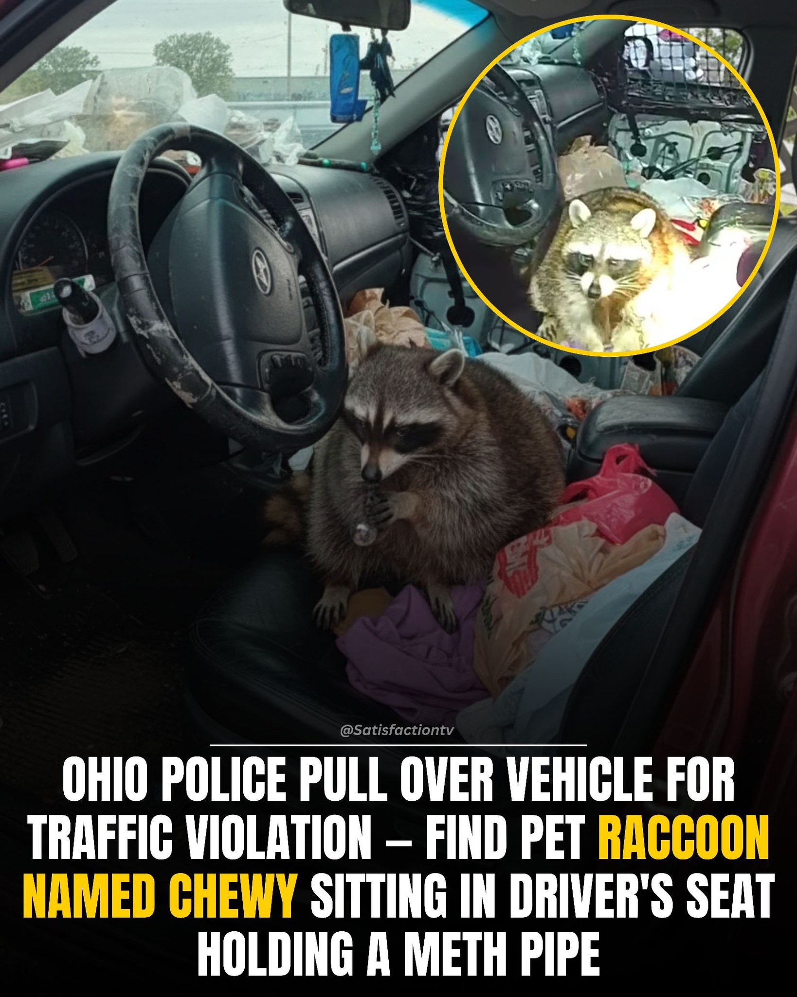 Satisfactiontv - Officers from the Springfield Township Police ...