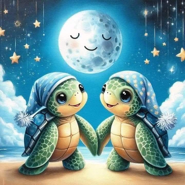 We Love Turtles | Facebook