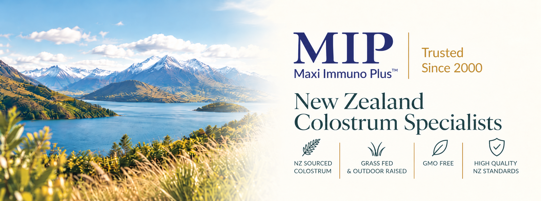 MIP Colostrum