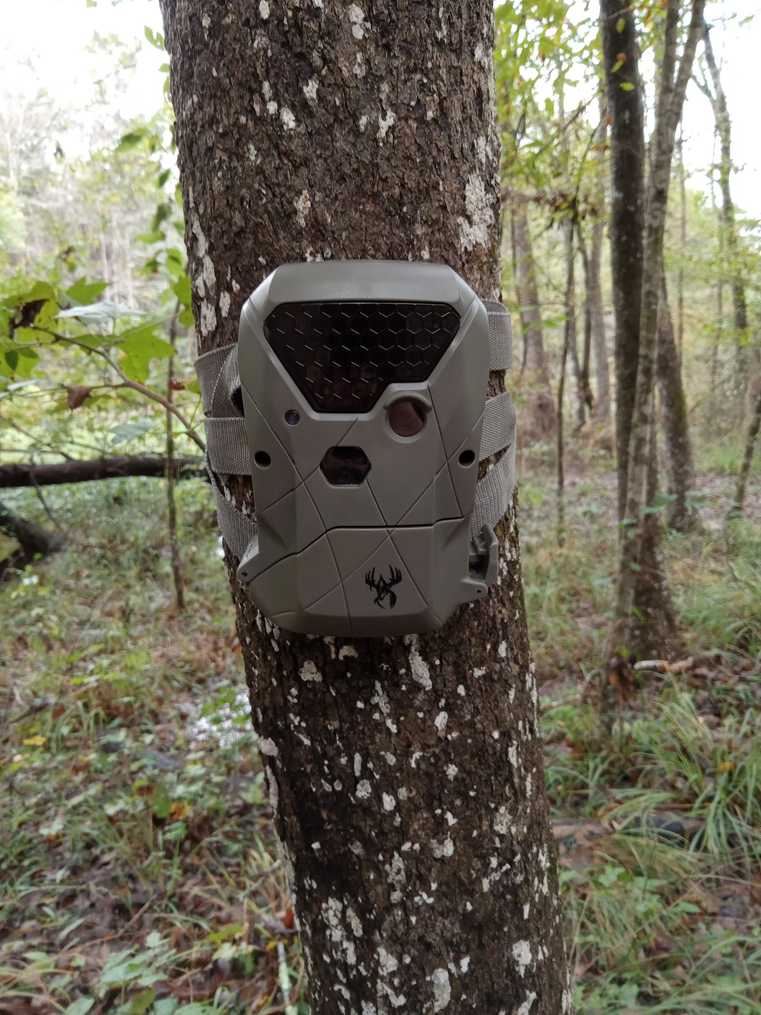 Wildgame Innovations Terra Extreme Trail Camera - 12MP, Realtree Edge Camo