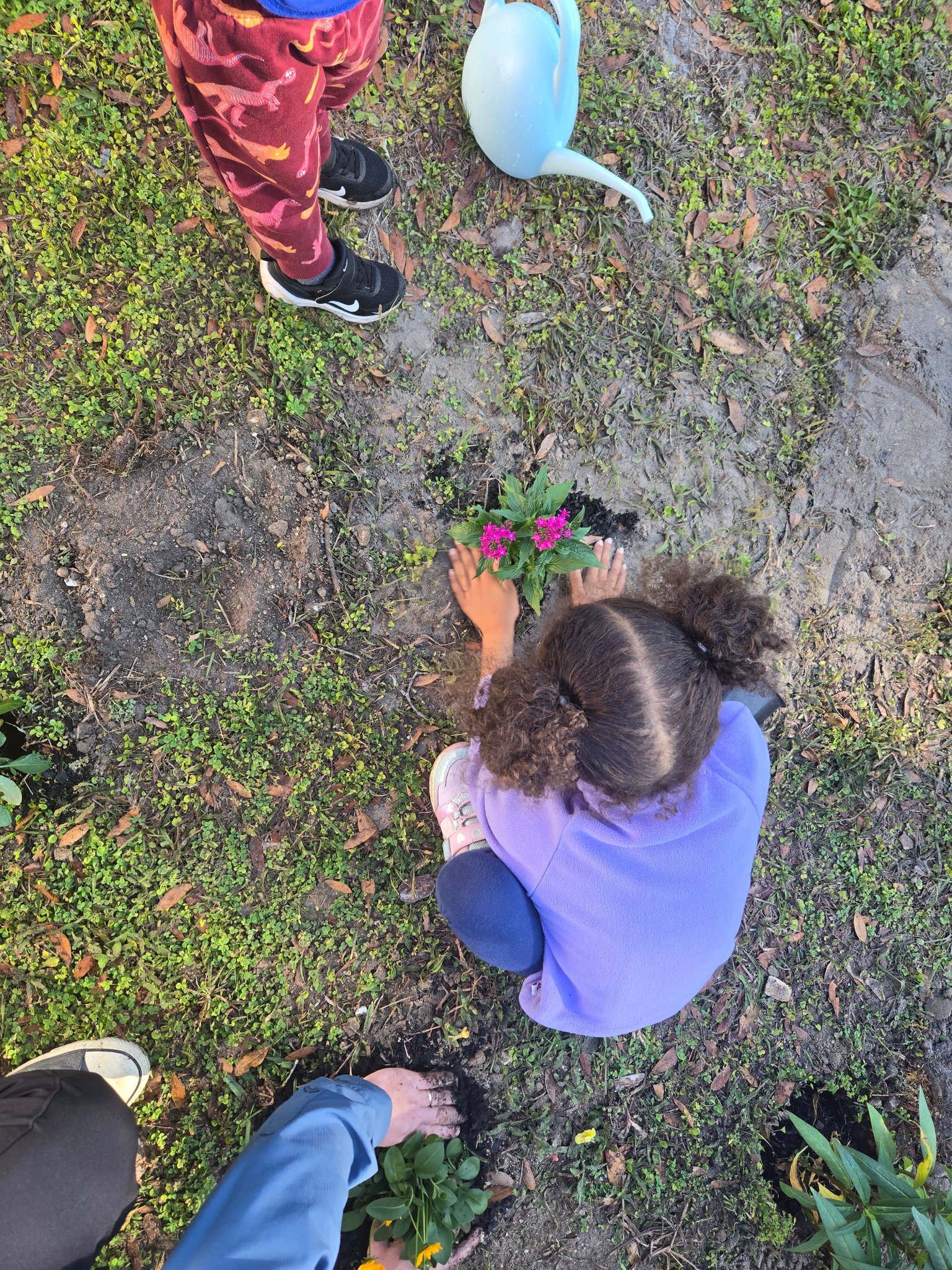 Outreach at the Florida Museum of Natural History
