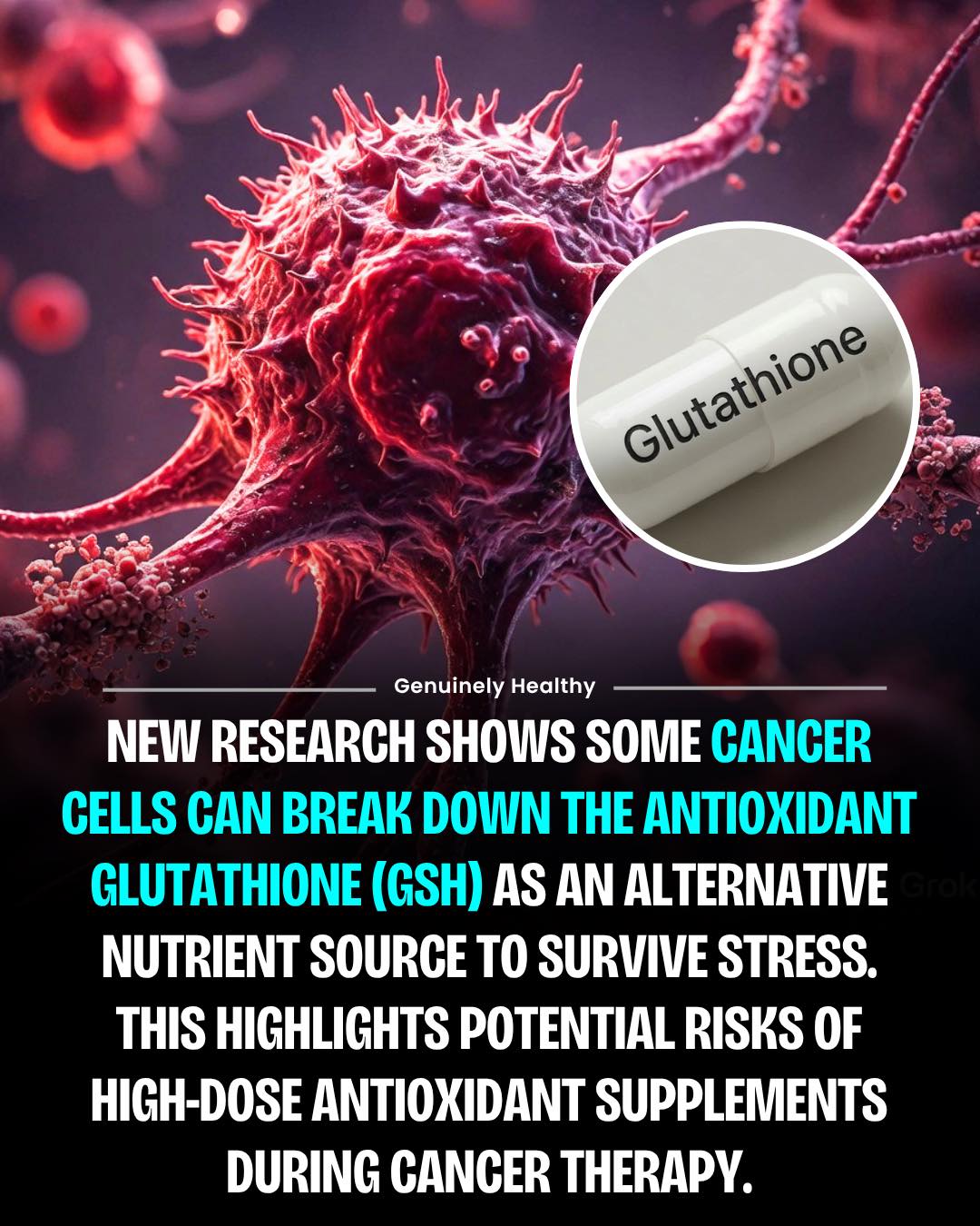 In a new study published in the top scientific journal Nature, Wilmot researchers discovered that the antioxidant glutathione fuels cancer cells. This matters because it means blocking glutathione could be a new