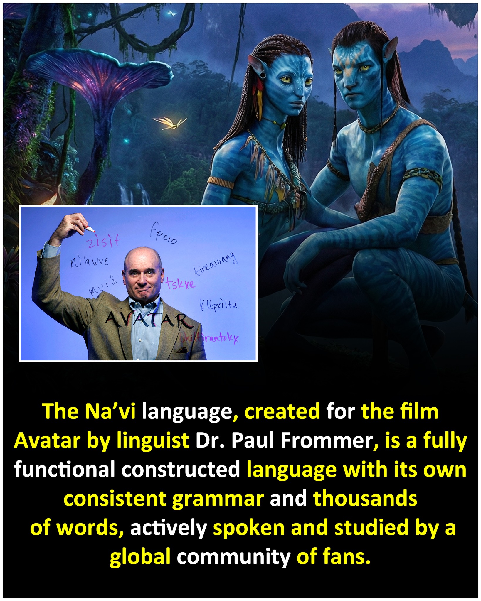Crazy For Facts - The Na'vi language (Lìʼfya leNaʼvi) was... | Facebook