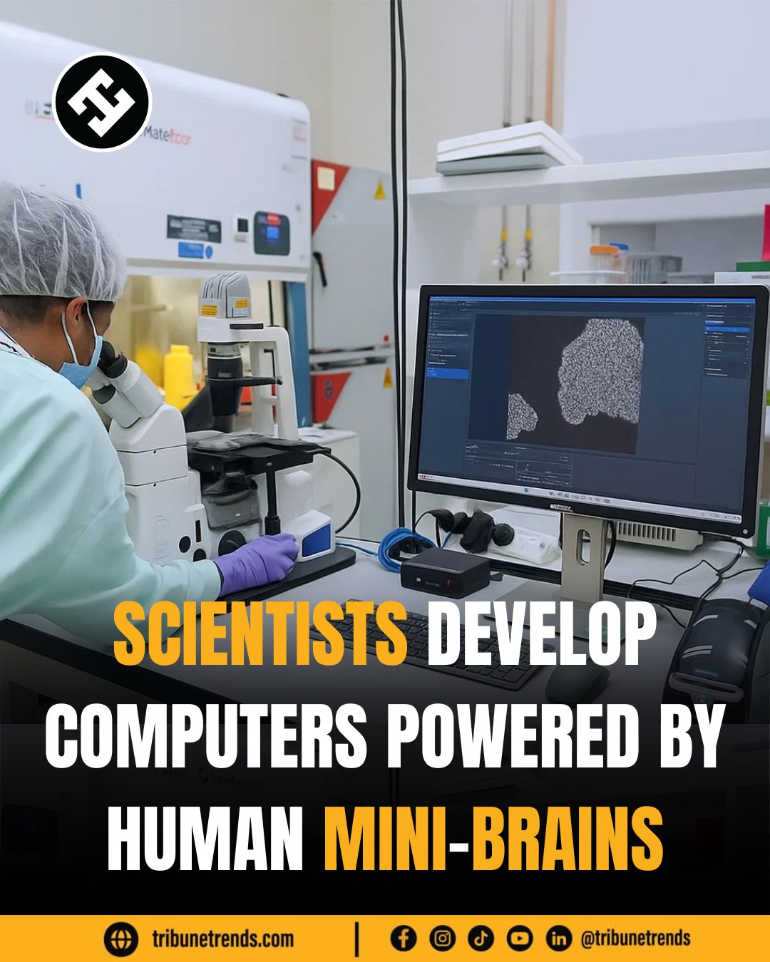 Tribune - Scientists in Switzerland have created a new kind of computer ...
