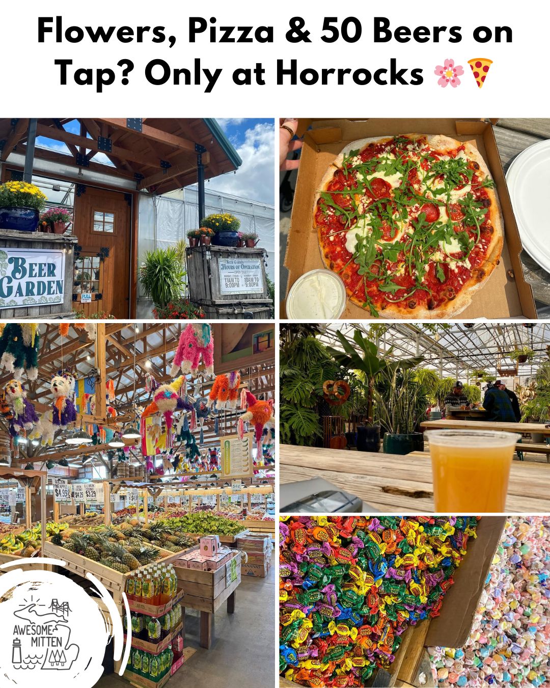 Day - 🍎 𝗛𝗼𝗿𝗿𝗼𝗰𝗸𝘀 𝗙𝗮𝗿𝗺 𝗠𝗮𝗿𝗸𝗲𝘁 isn’t your average farmer’s market — it’s ...