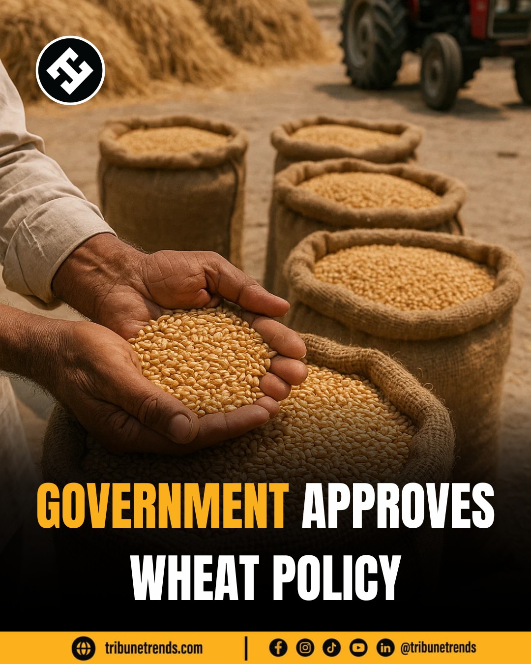 Tribune - The government has sanctioned the Wheat Policy 2025-26 to ...