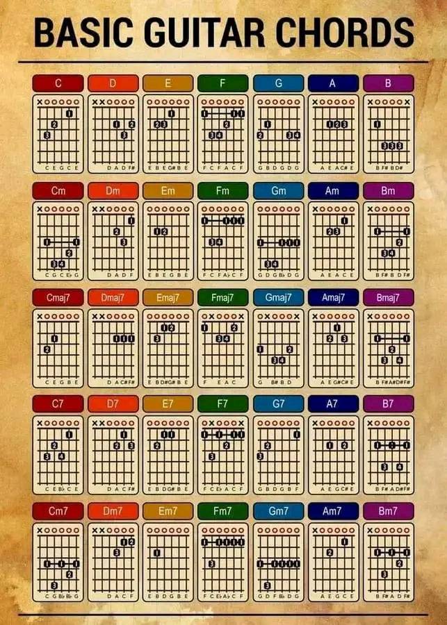 de-reggae-fada-music-course-de-reggae-fada-music-course