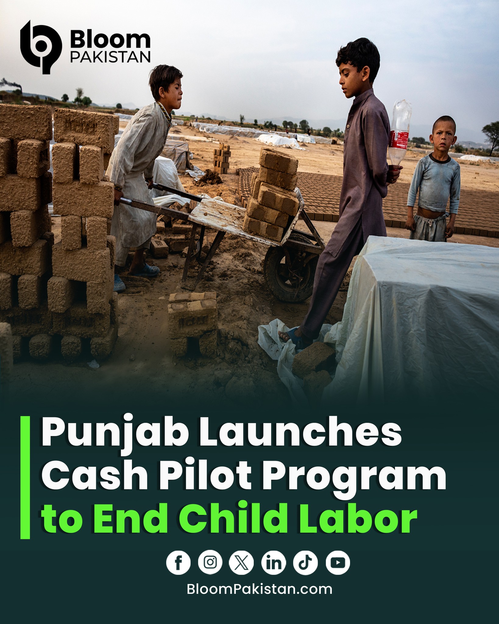 Bloom Pakistan - The Punjab government launches a pilot... | Facebook