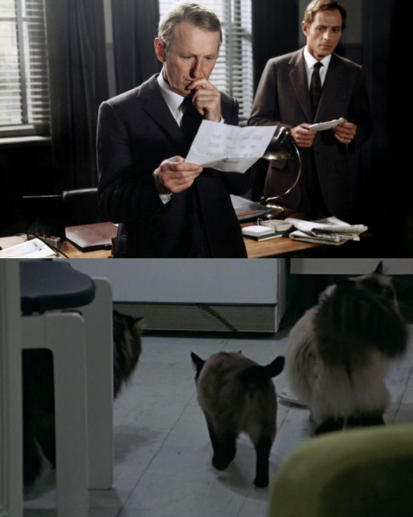 Movie - 🎬🎬 The Red Circle (Le Cercle Rouge) is a French crime thriller ...